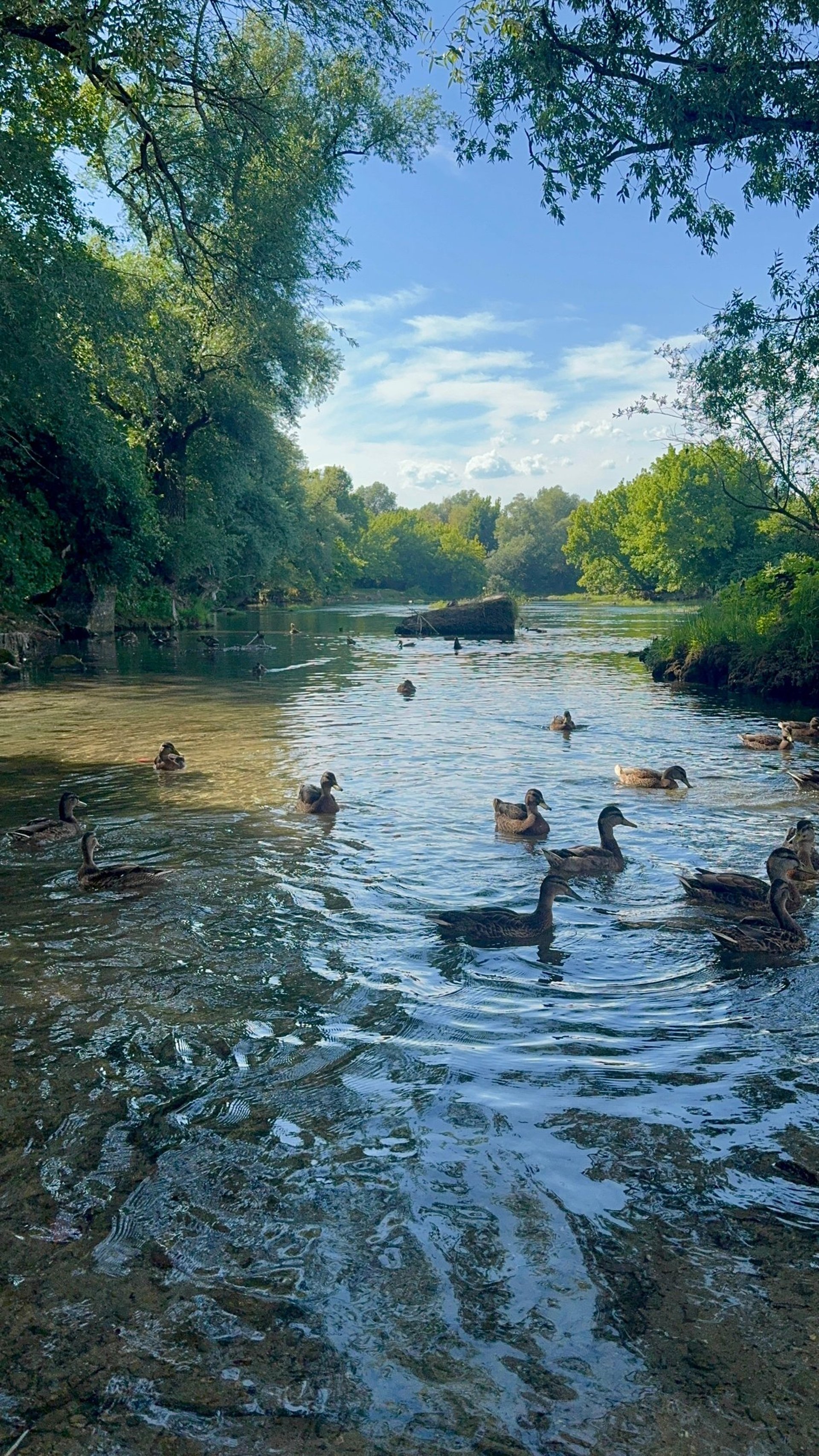 black blue and yellow textile