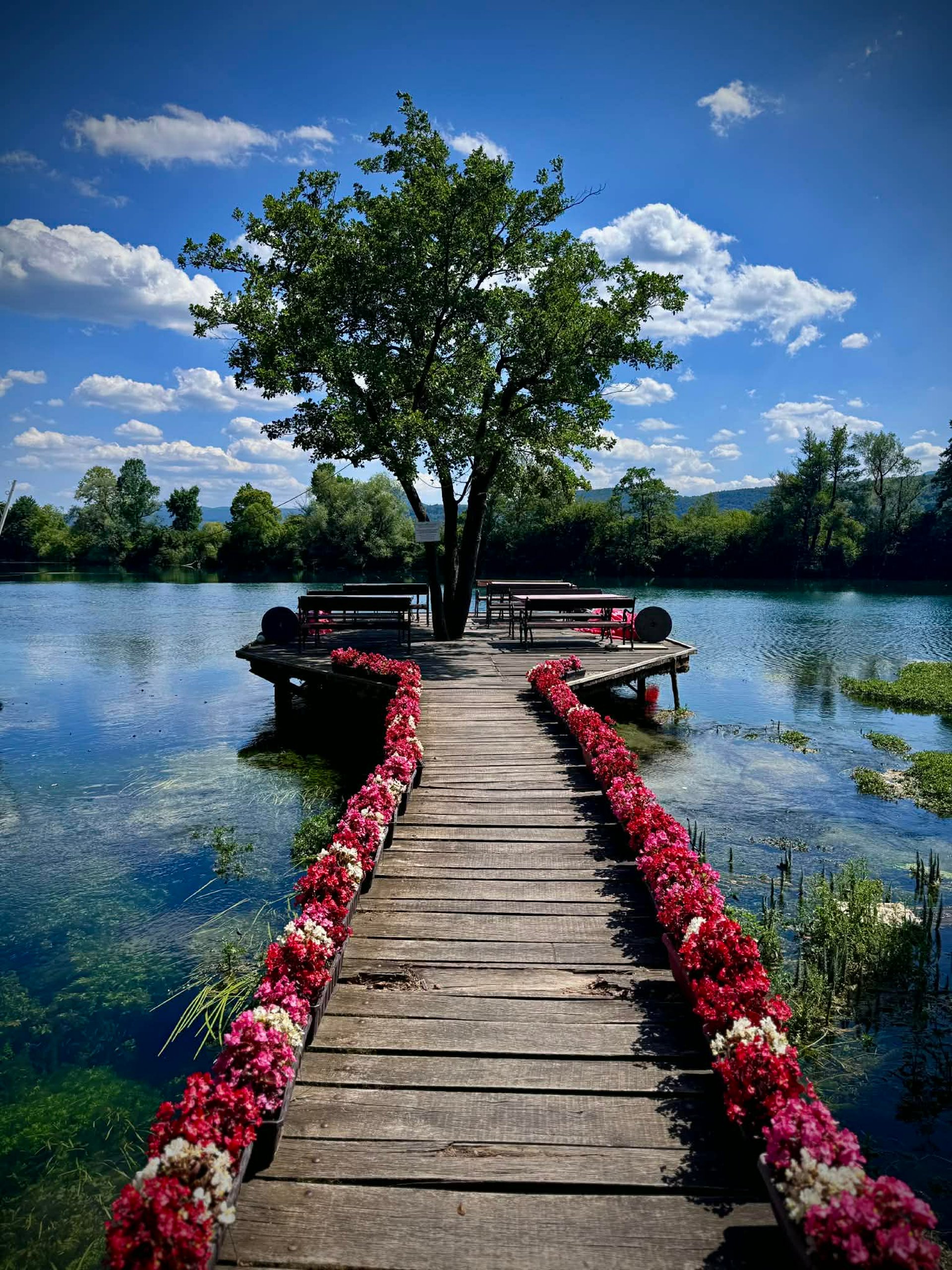 black blue and yellow textile