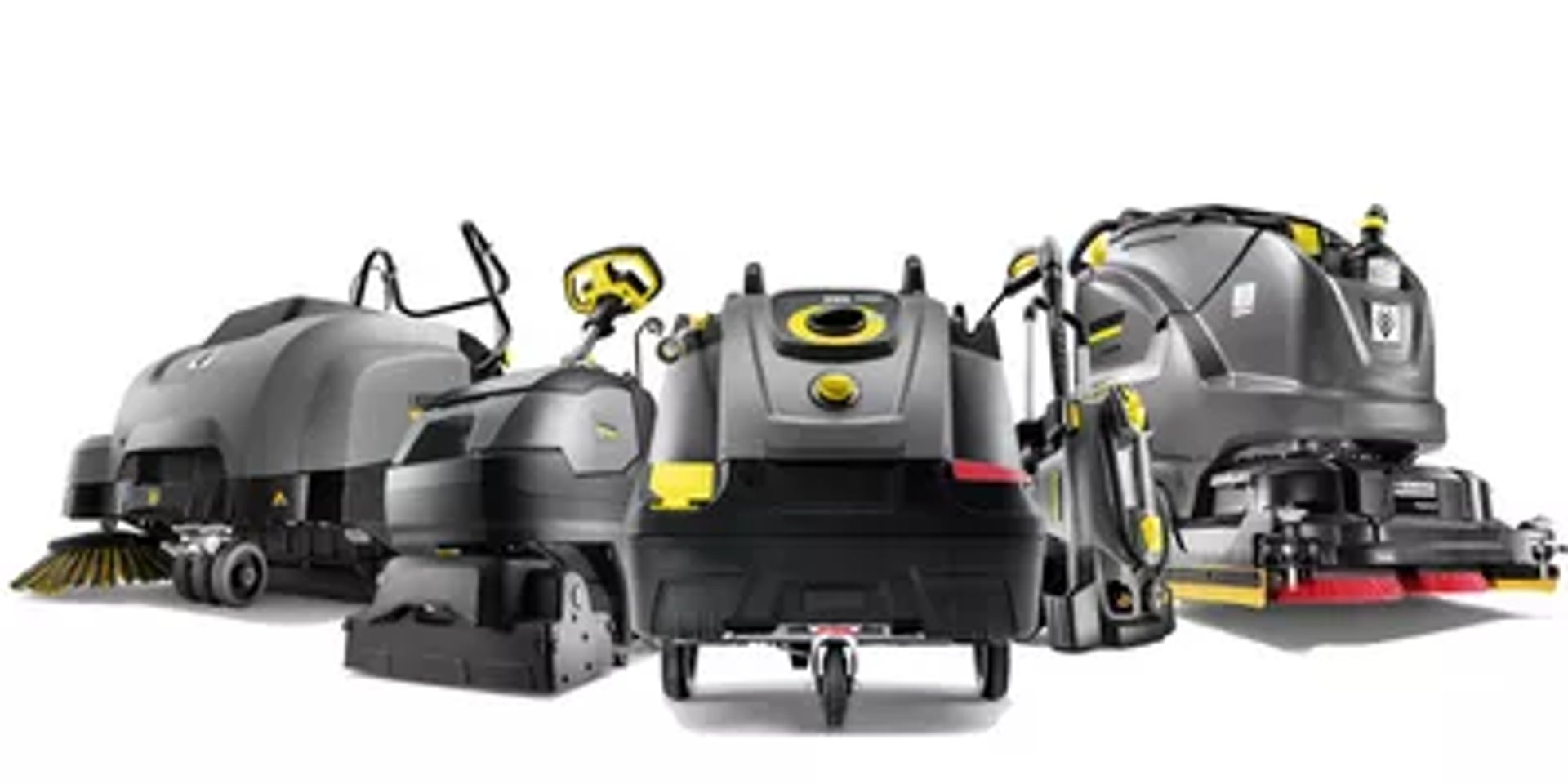 woman holding dried flower