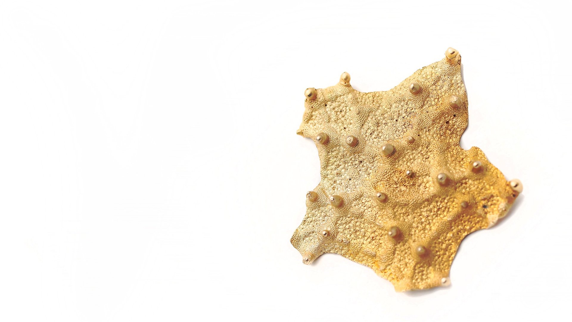 an abstract photo of a curved building with a blue sky in the background