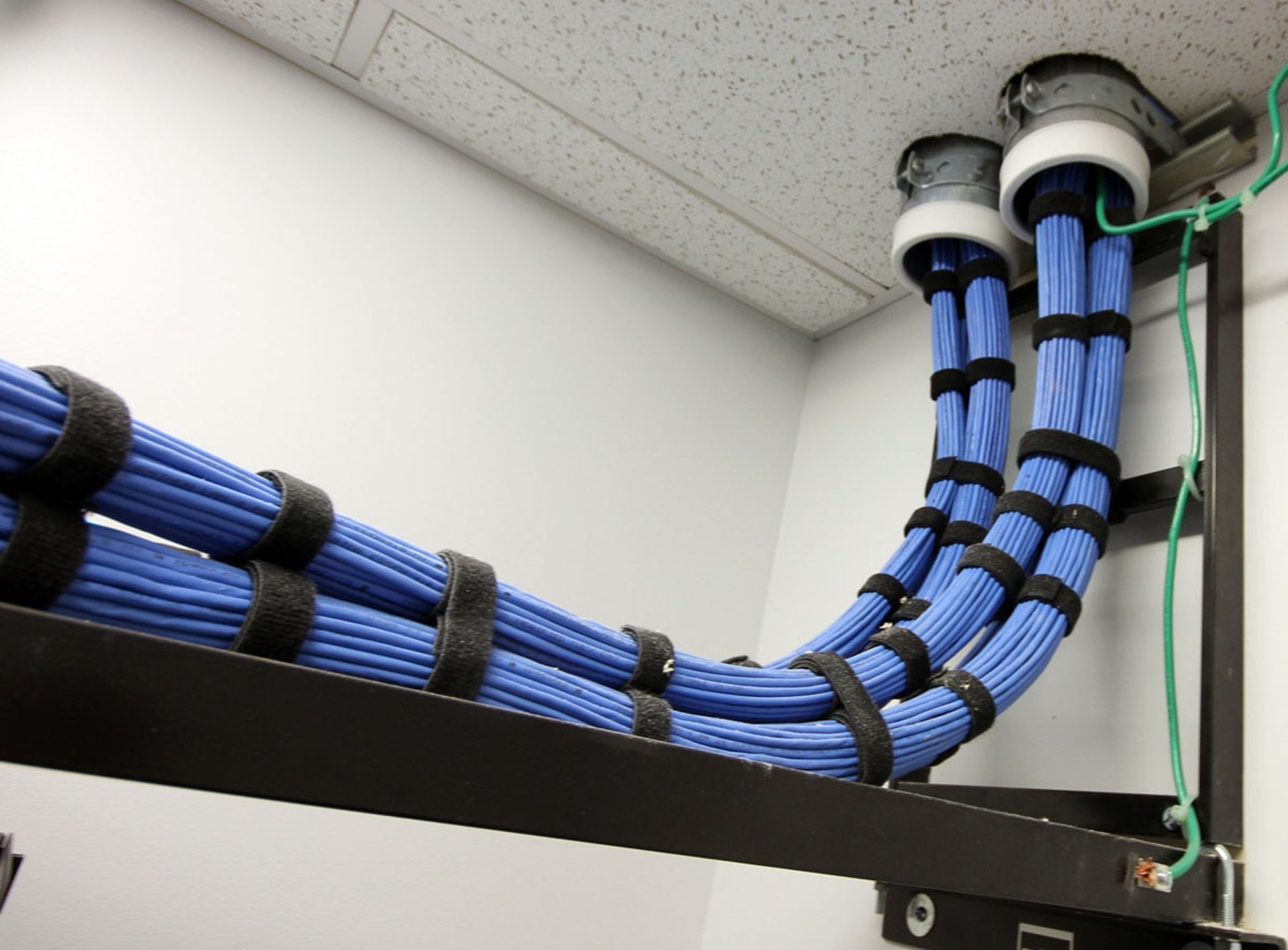 Neatly bundled blue trunk cables routed through a white ceiling tile.