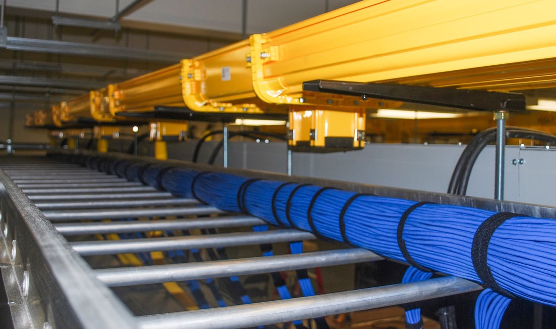 Yellow and blue network cables laid out in a metal overhead tray system.