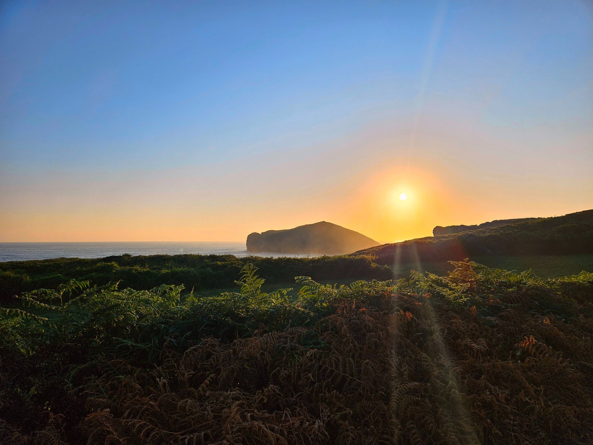 black and brown leather padded tub sofa