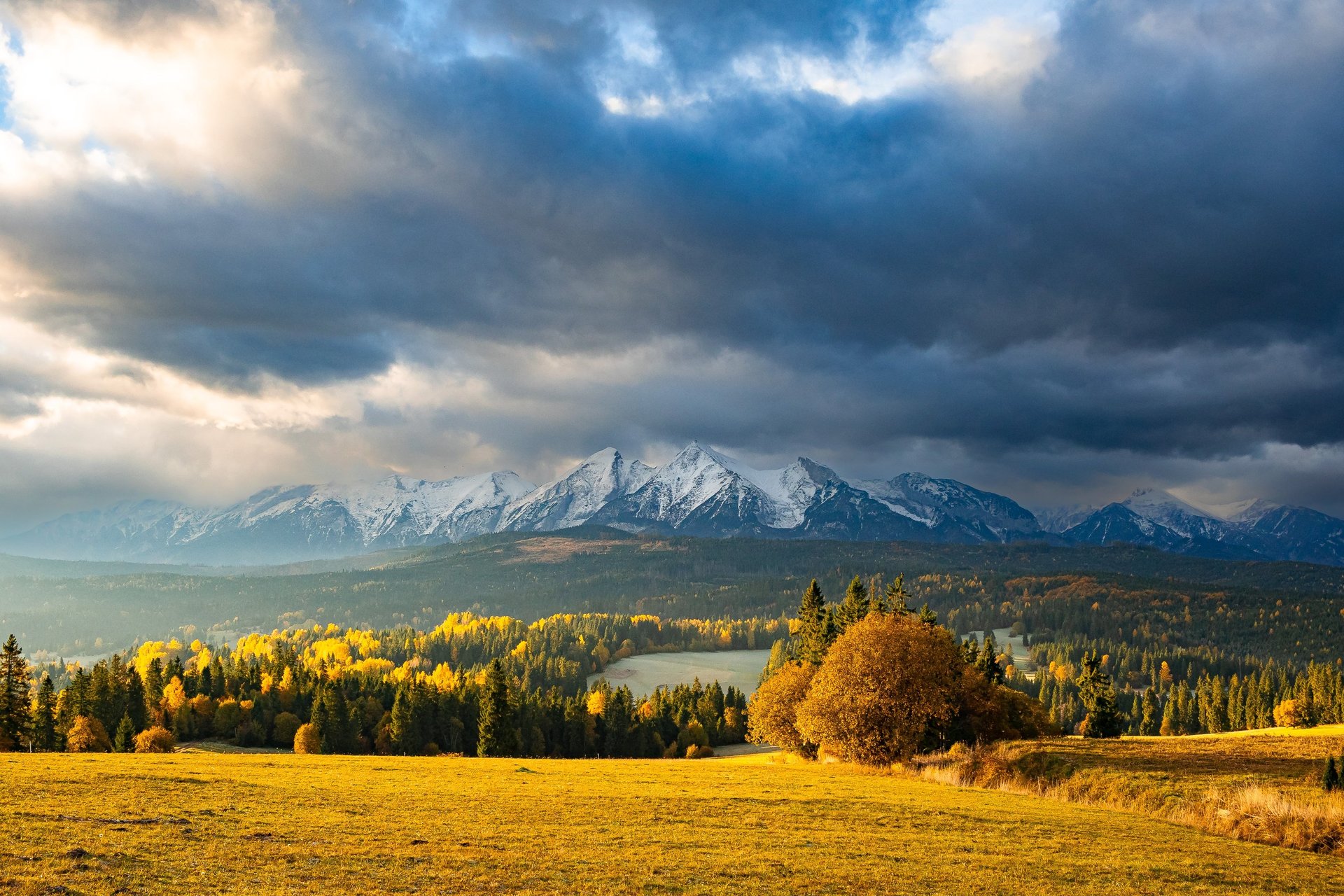 an abstract photo of a curved building with a blue sky in the background