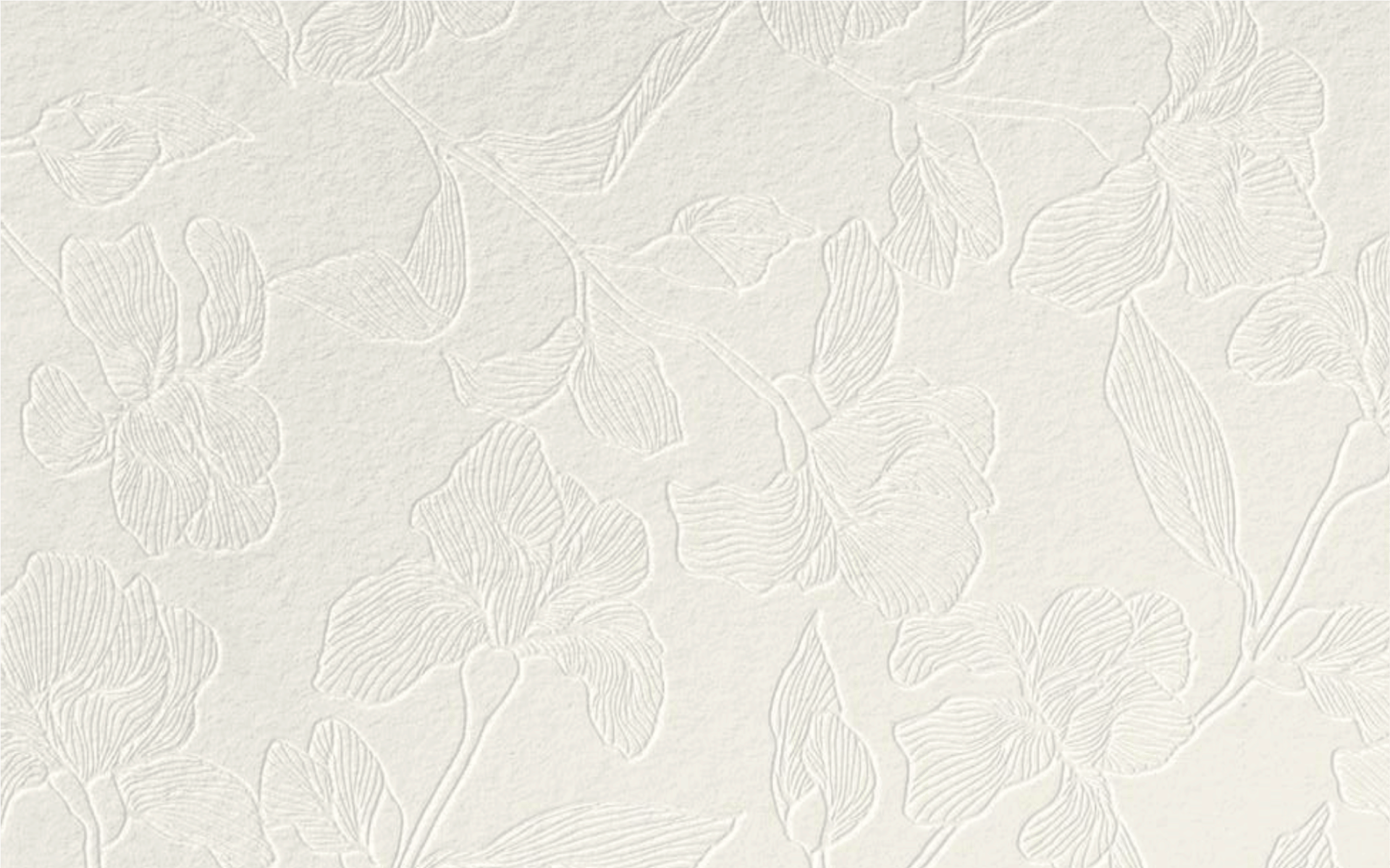 white wall paint with black line