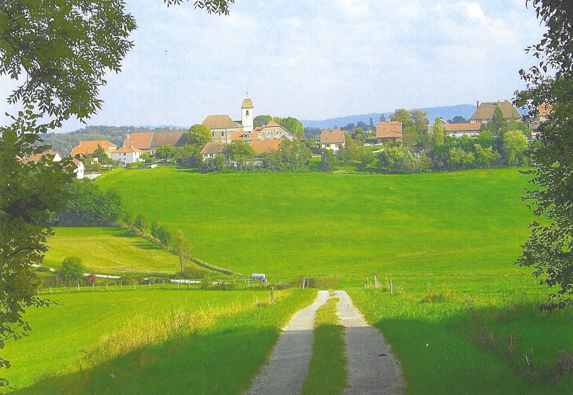 gray computer monitor