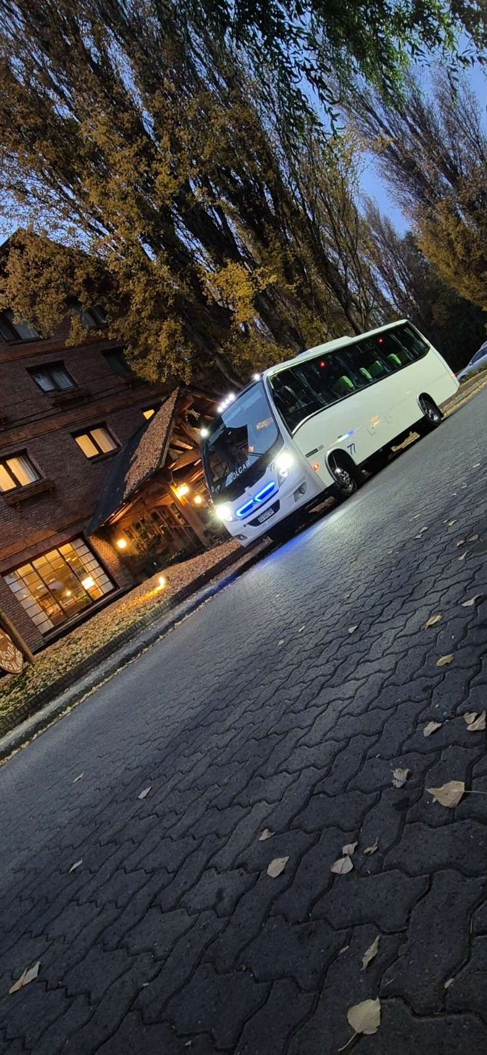 gray computer monitor