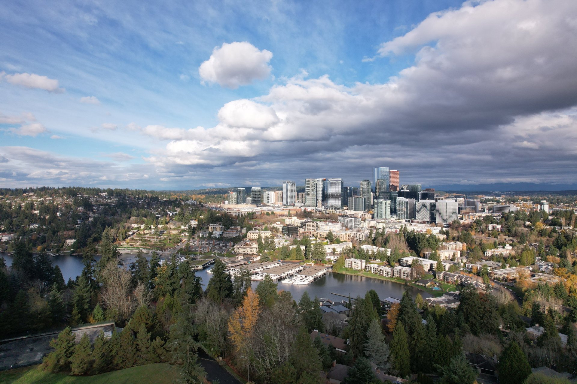 gray computer monitor