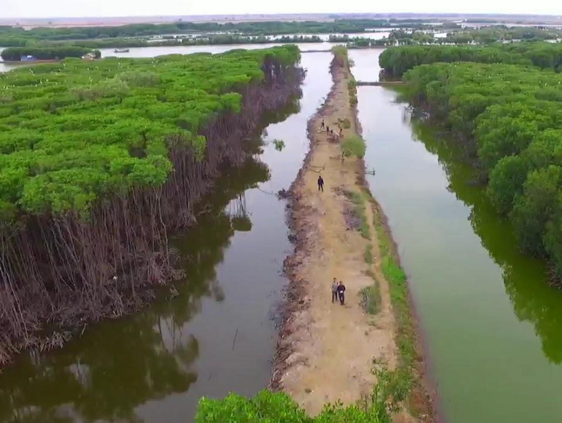 black and brown leather padded tub sofa