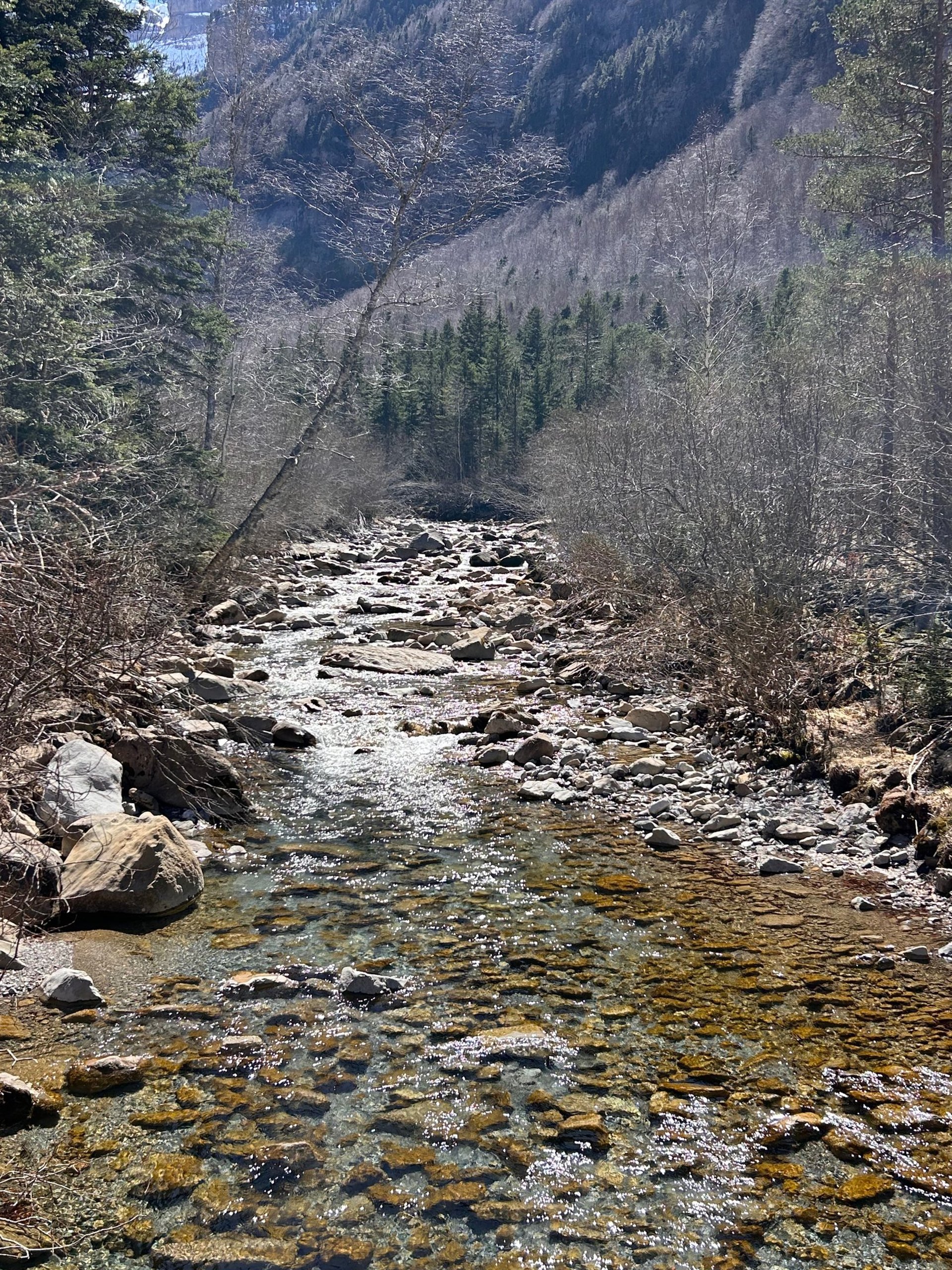 an abstract photo of a curved building with a blue sky in the background
