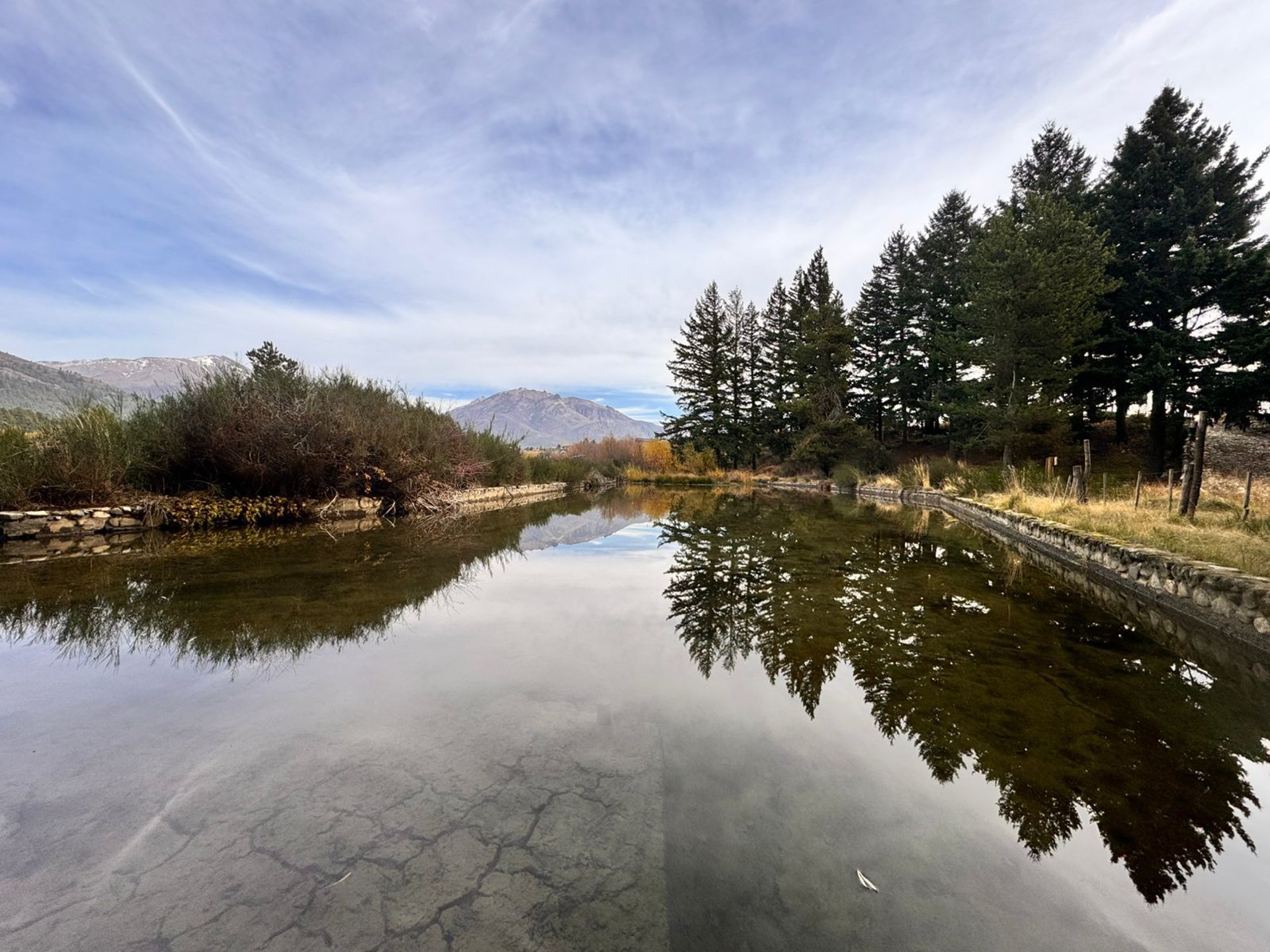gray computer monitor
