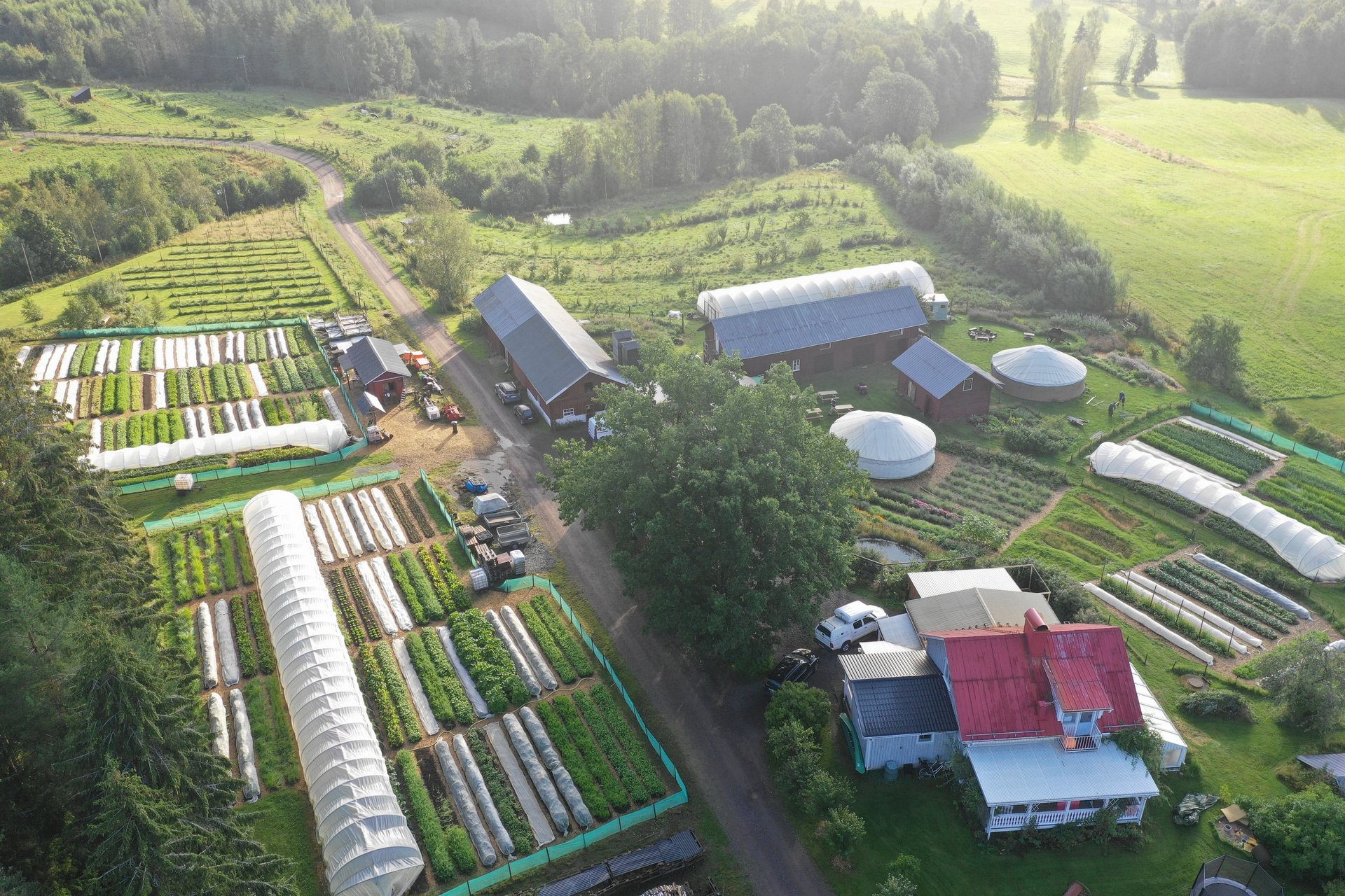 black and white bed linen