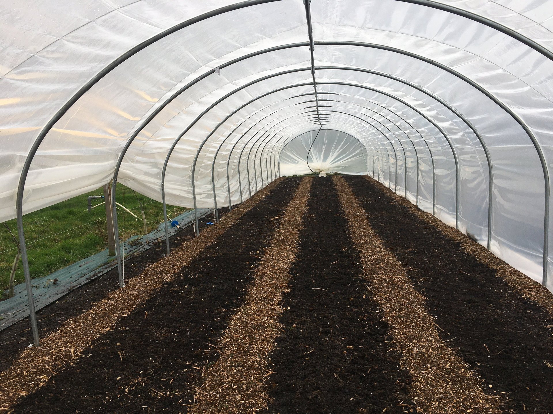 gray computer monitor