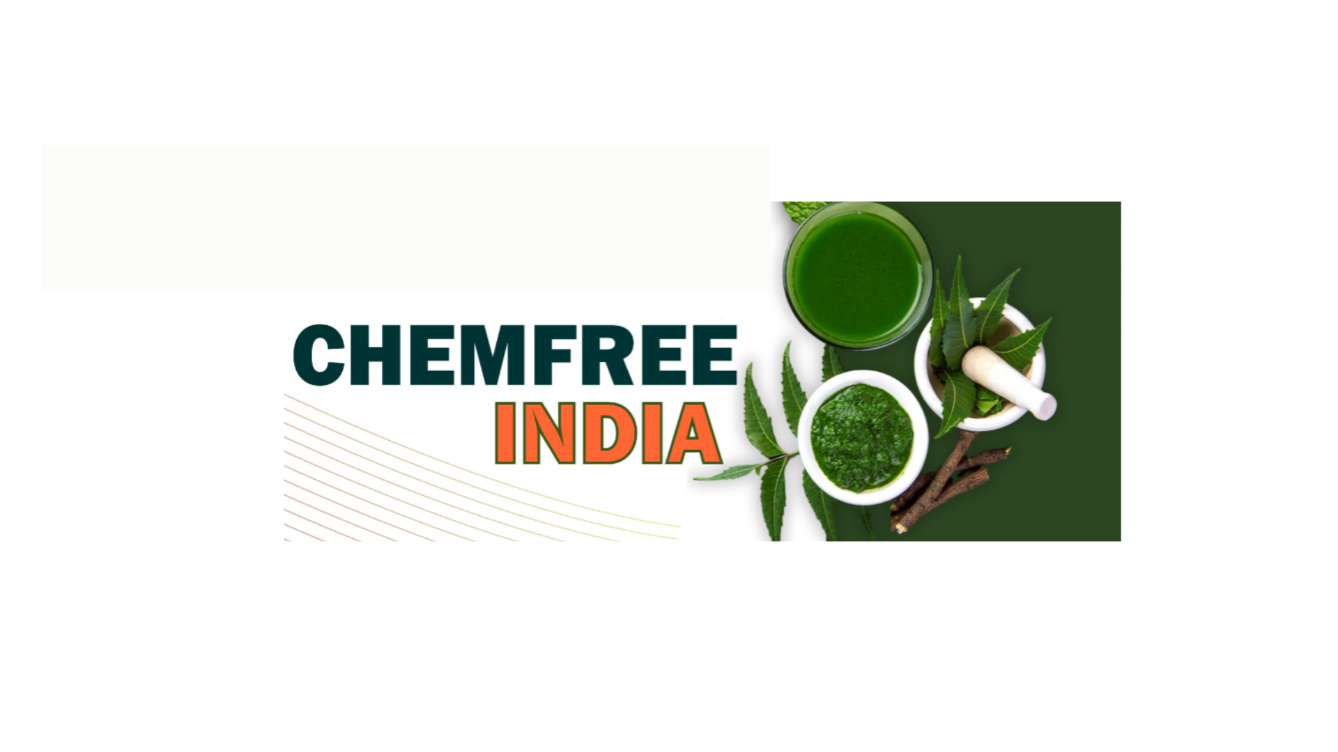 woman holding dried flower