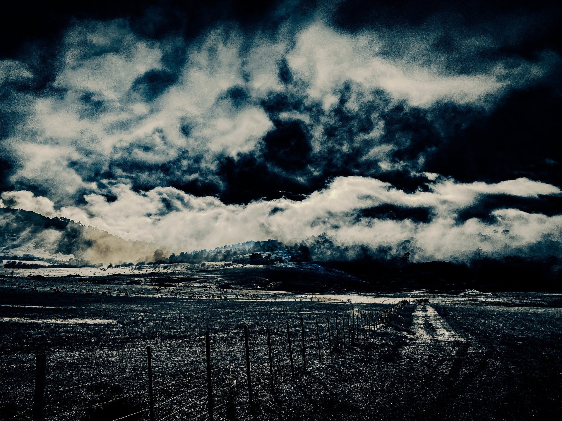 black and white bed linen