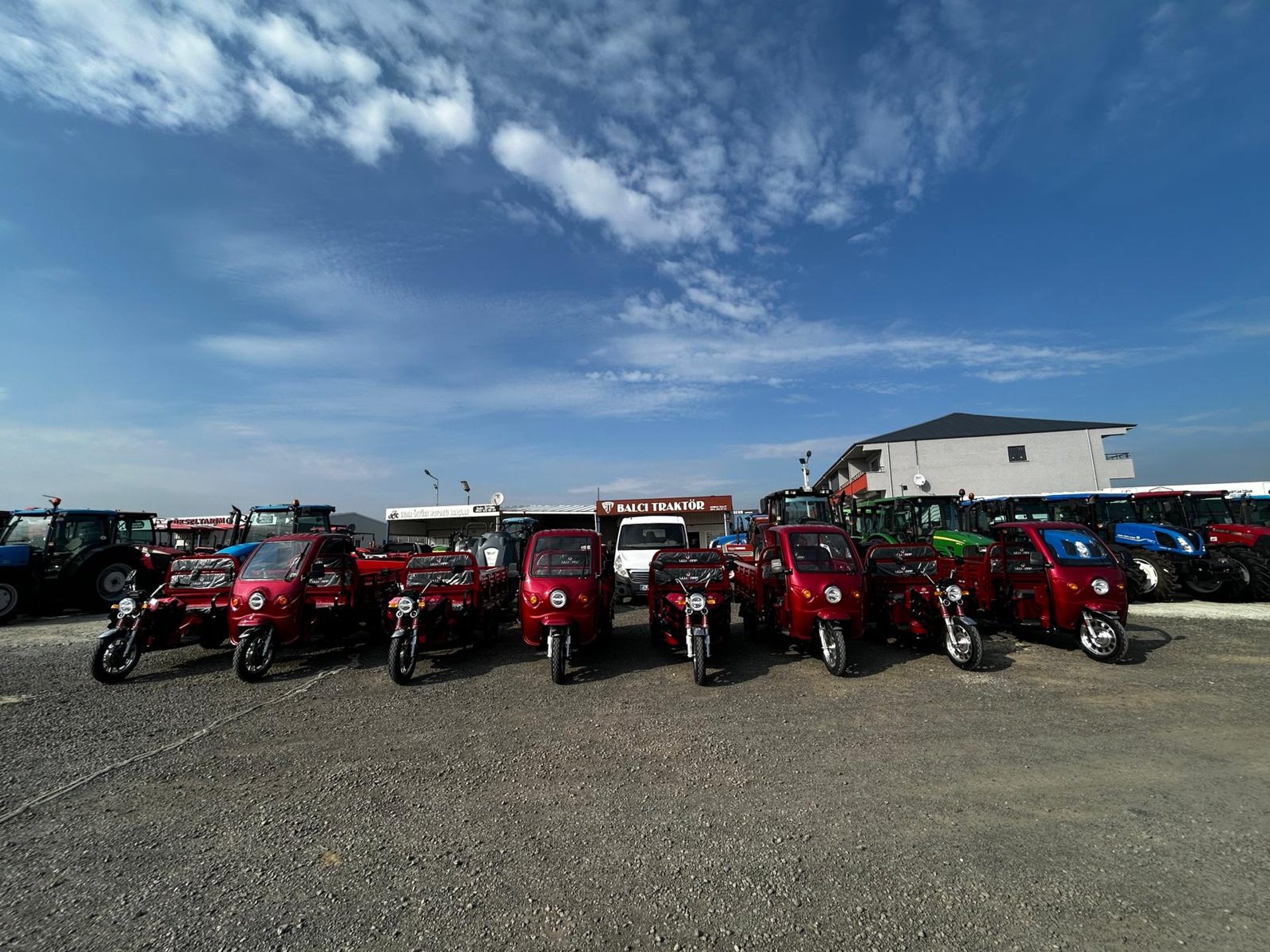 yellow sunflower field during daytime