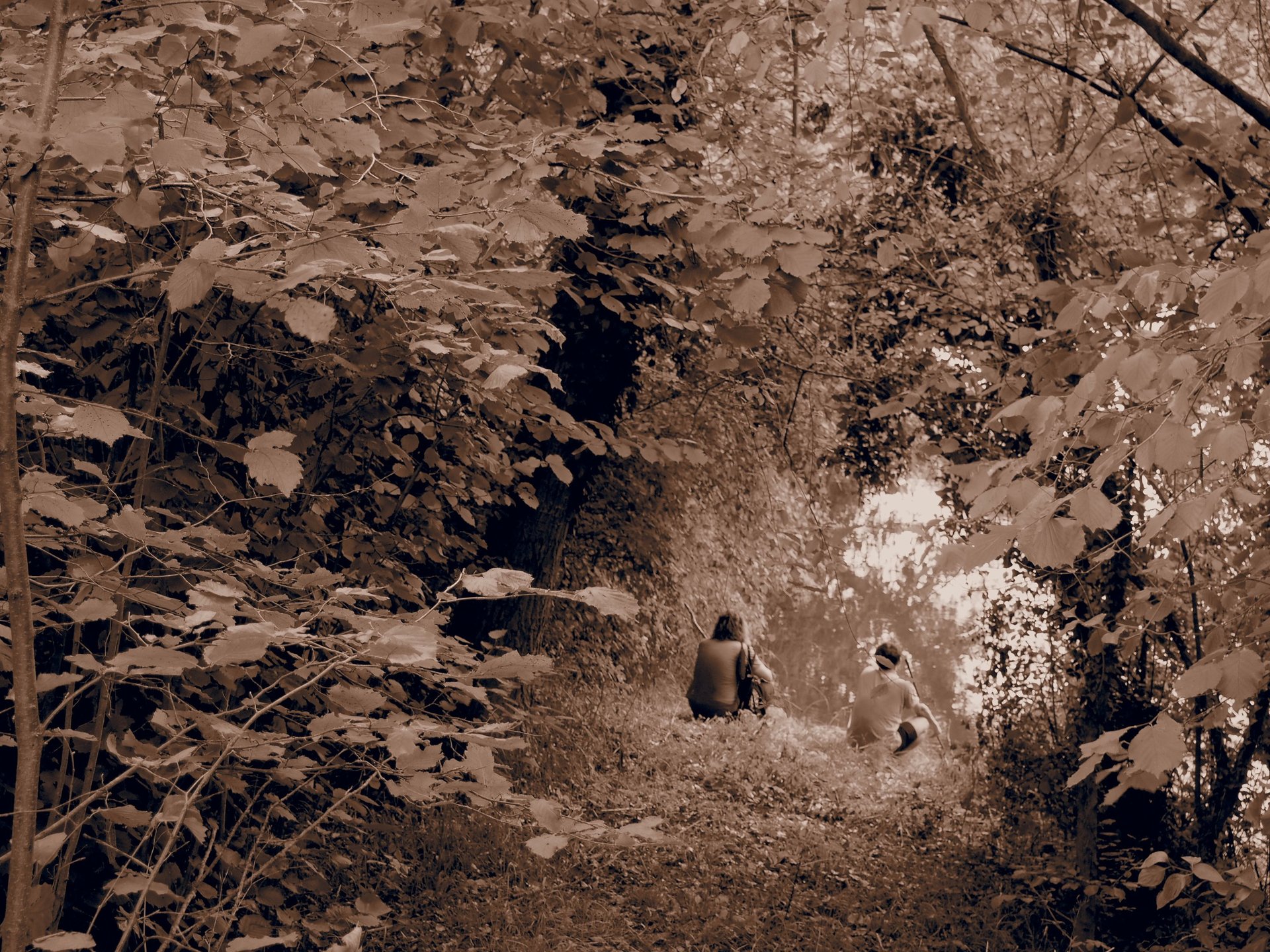 brown wooden house on lake