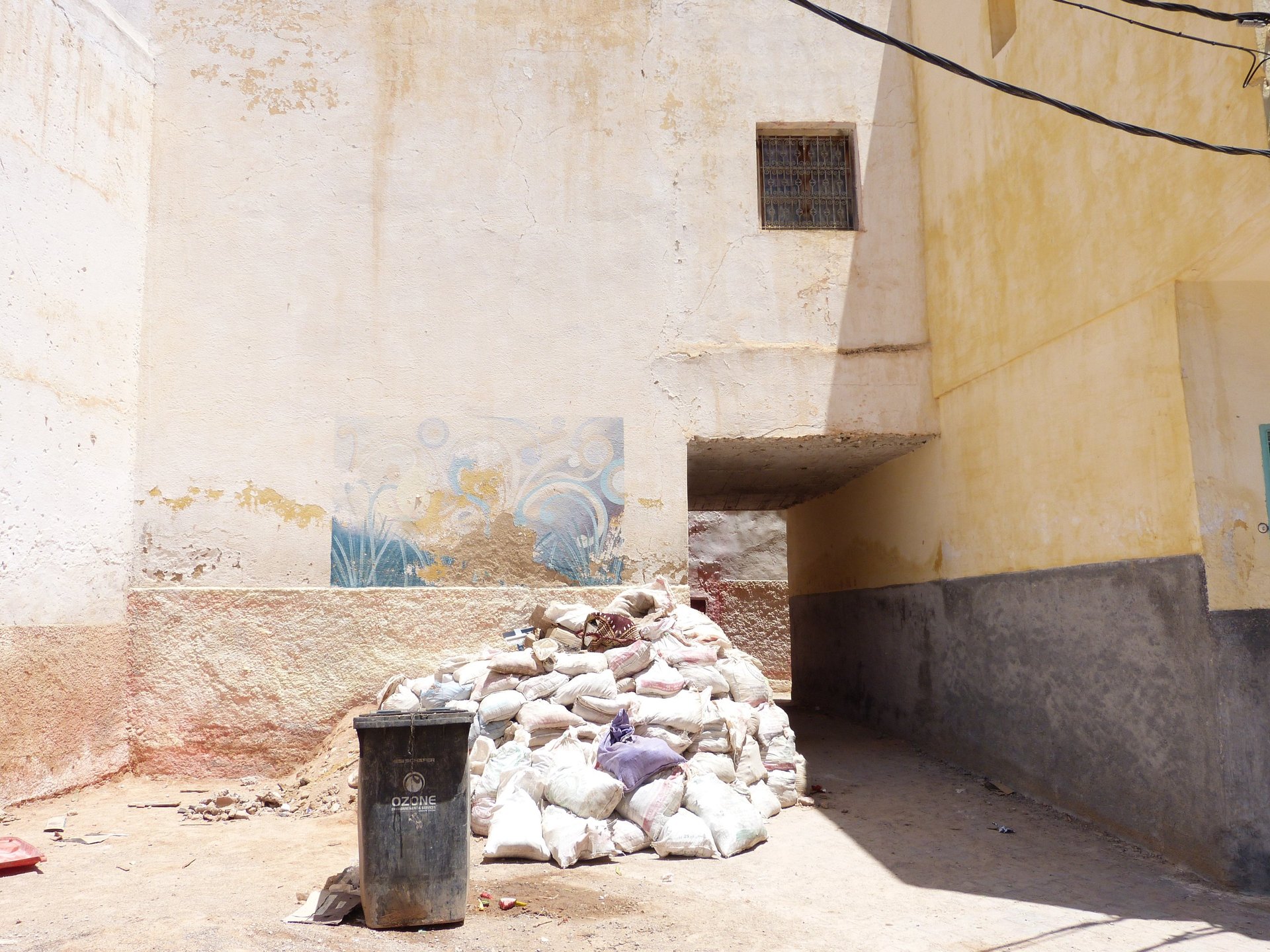 a room with a glass door that has a plant in it