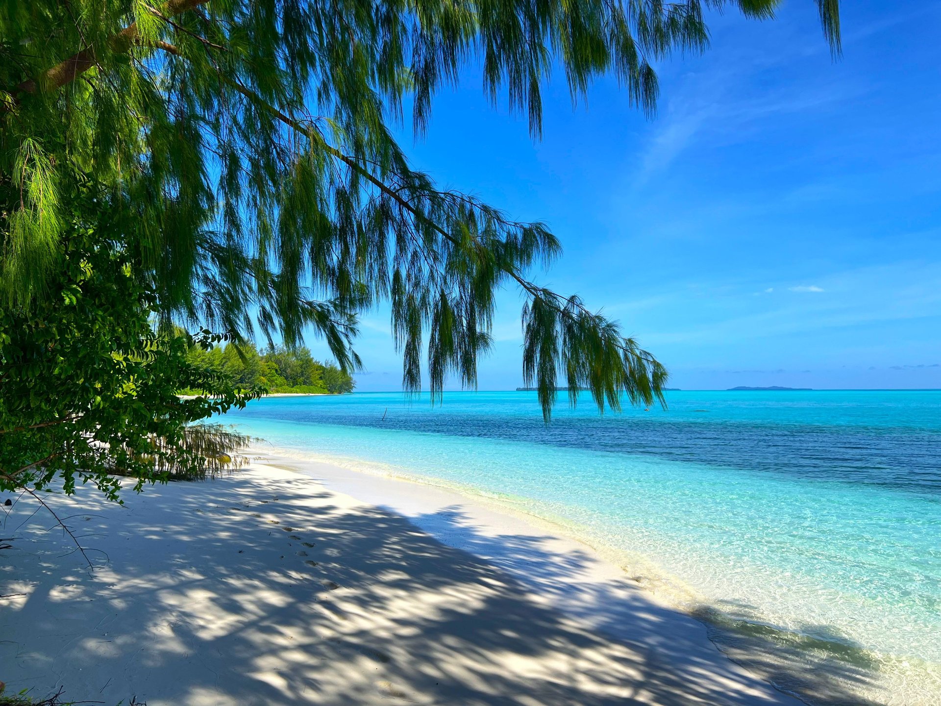 black and white bed linen