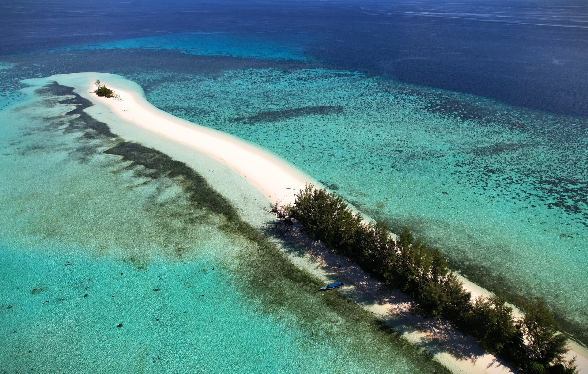 black and white bed linen