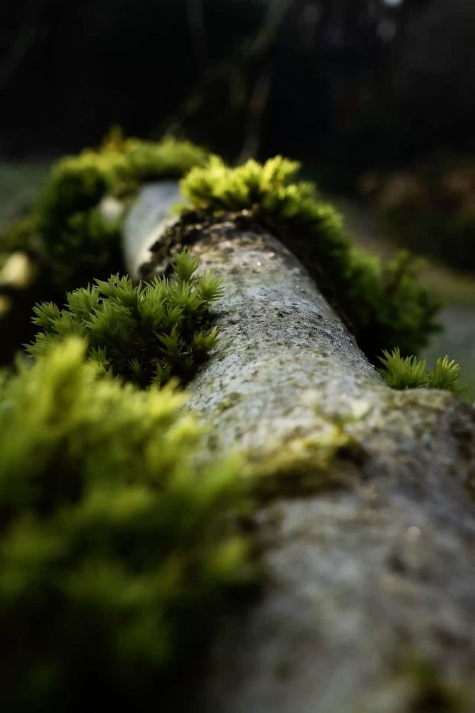 gray computer monitor