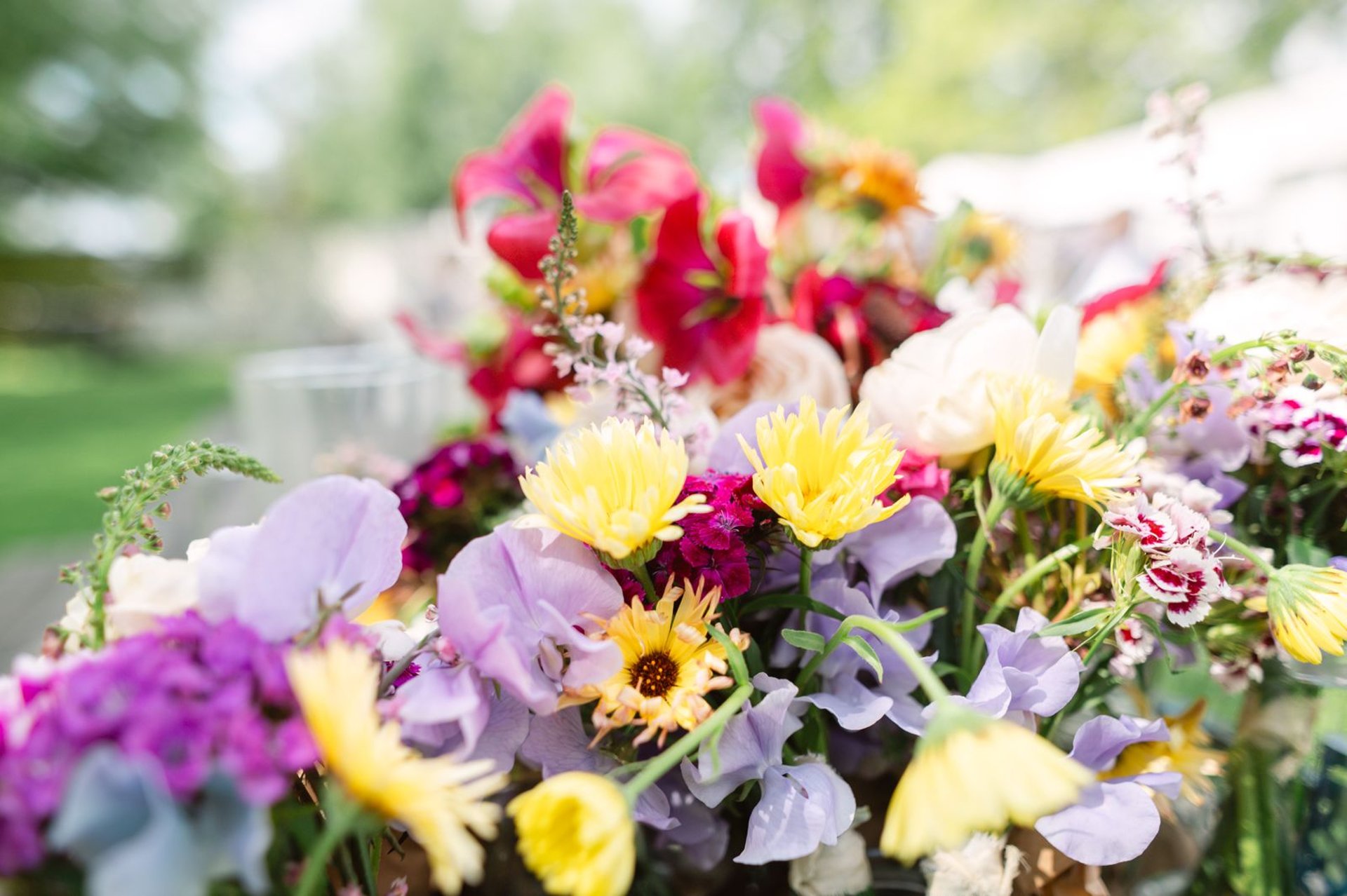 black blue and yellow textile