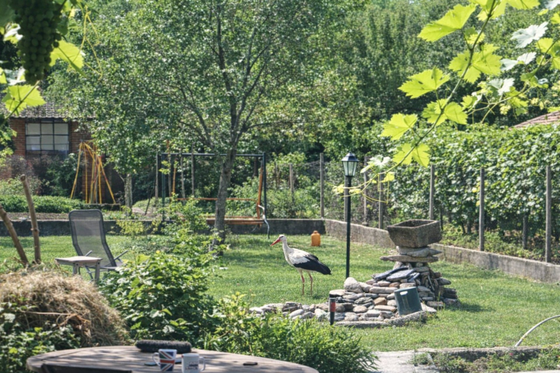 A stork standing in a bright, in Kurtovo Konare, surrounded by greenery, a wooden table, and garden furniture and fountain.