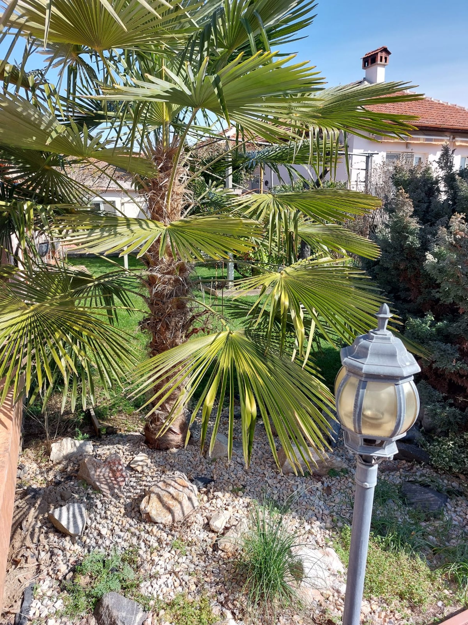 an abstract photo of a curved building with a blue sky in the background