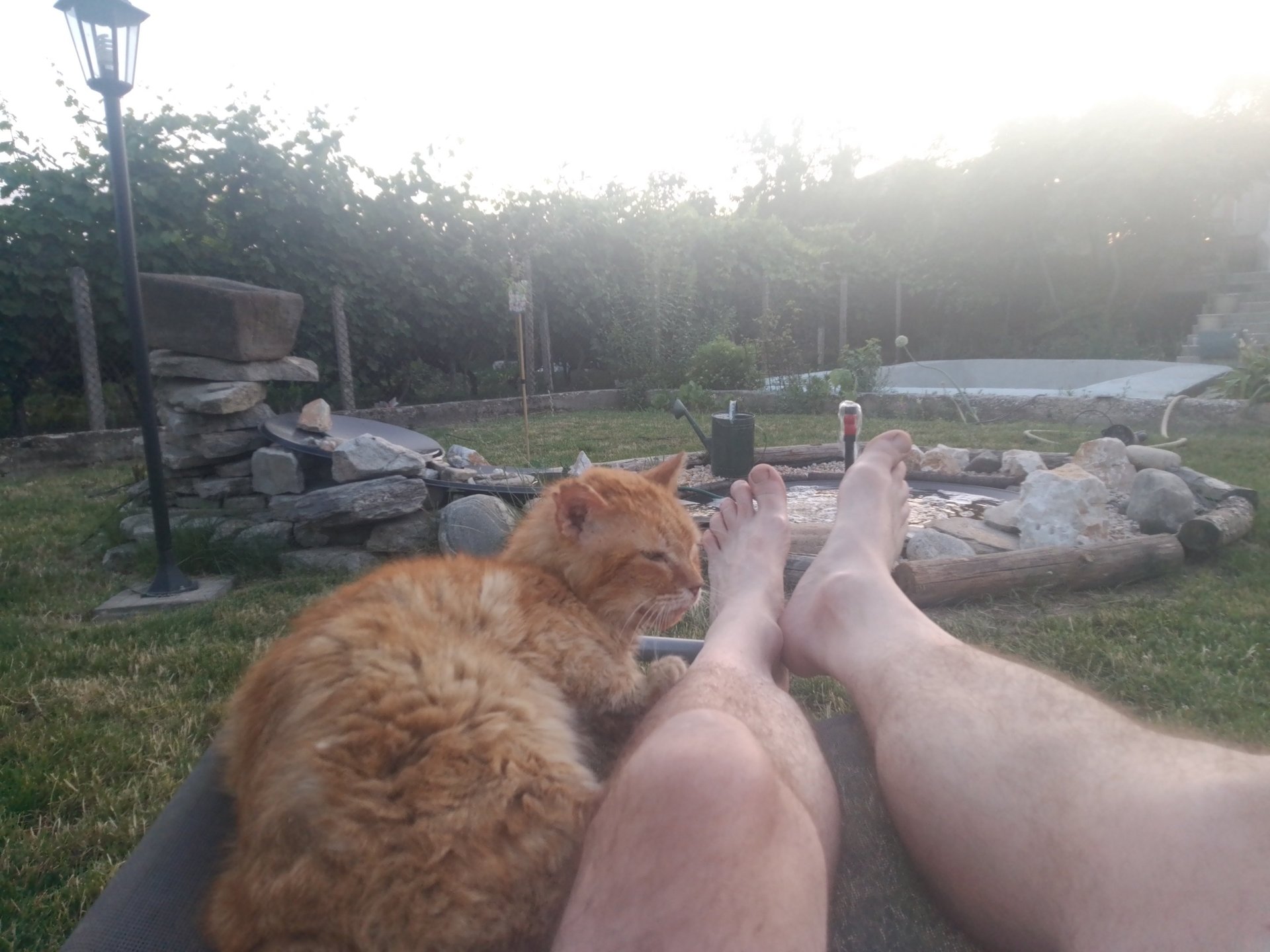 Me and my cat pumpkin, relaxing by the garden fountain in Kurtovo Konare, Plovdiv, Hedgie Wilder