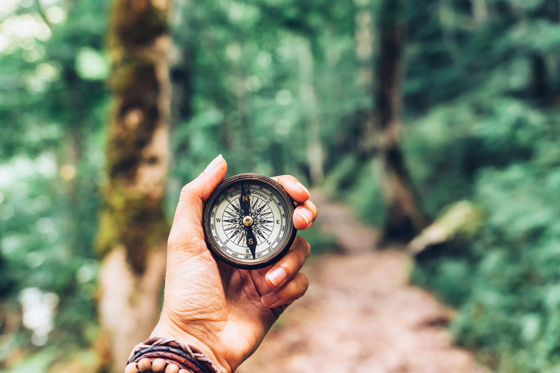 black blue and yellow textile