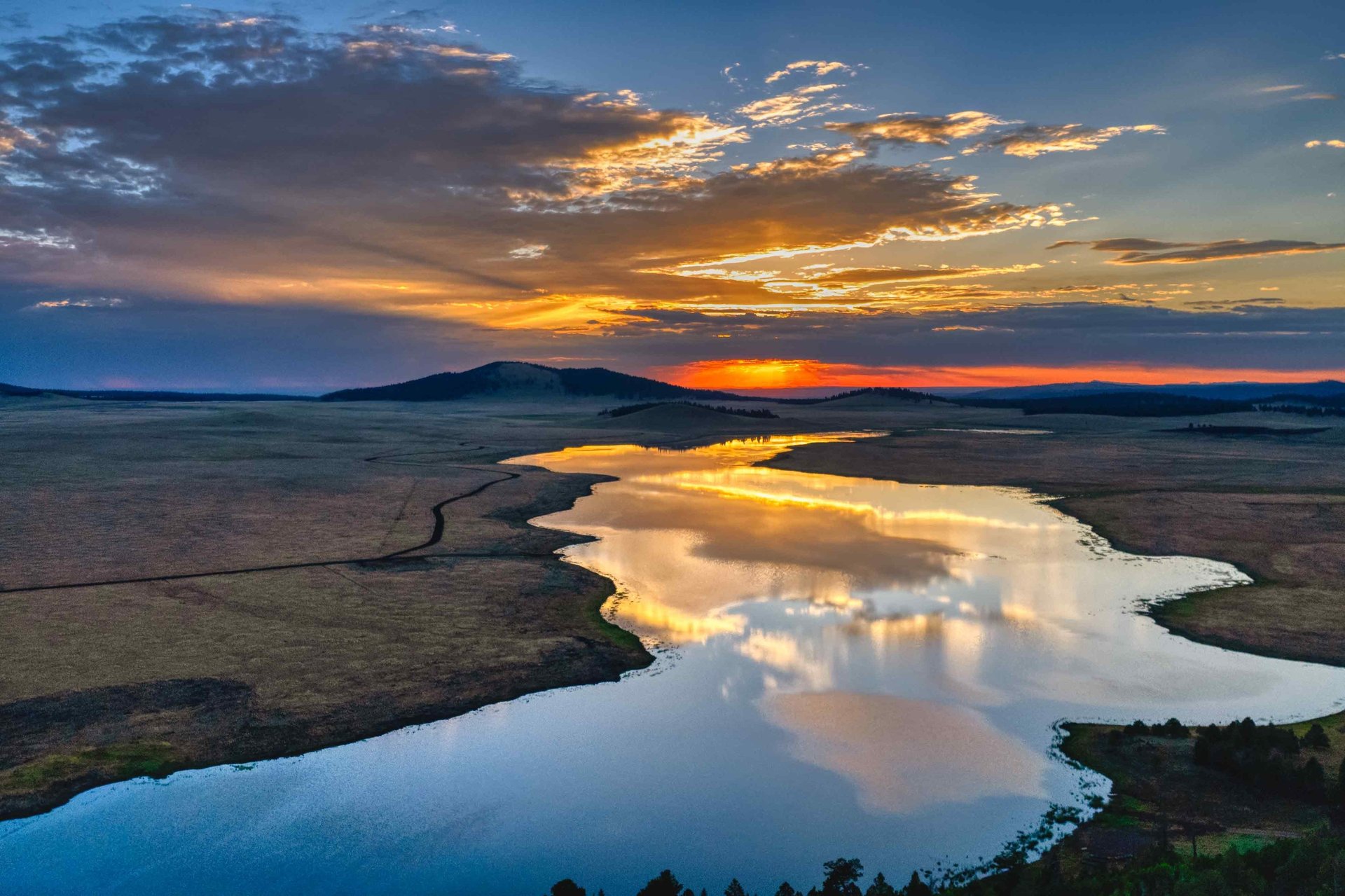 a close up of a black and brown abstract painting