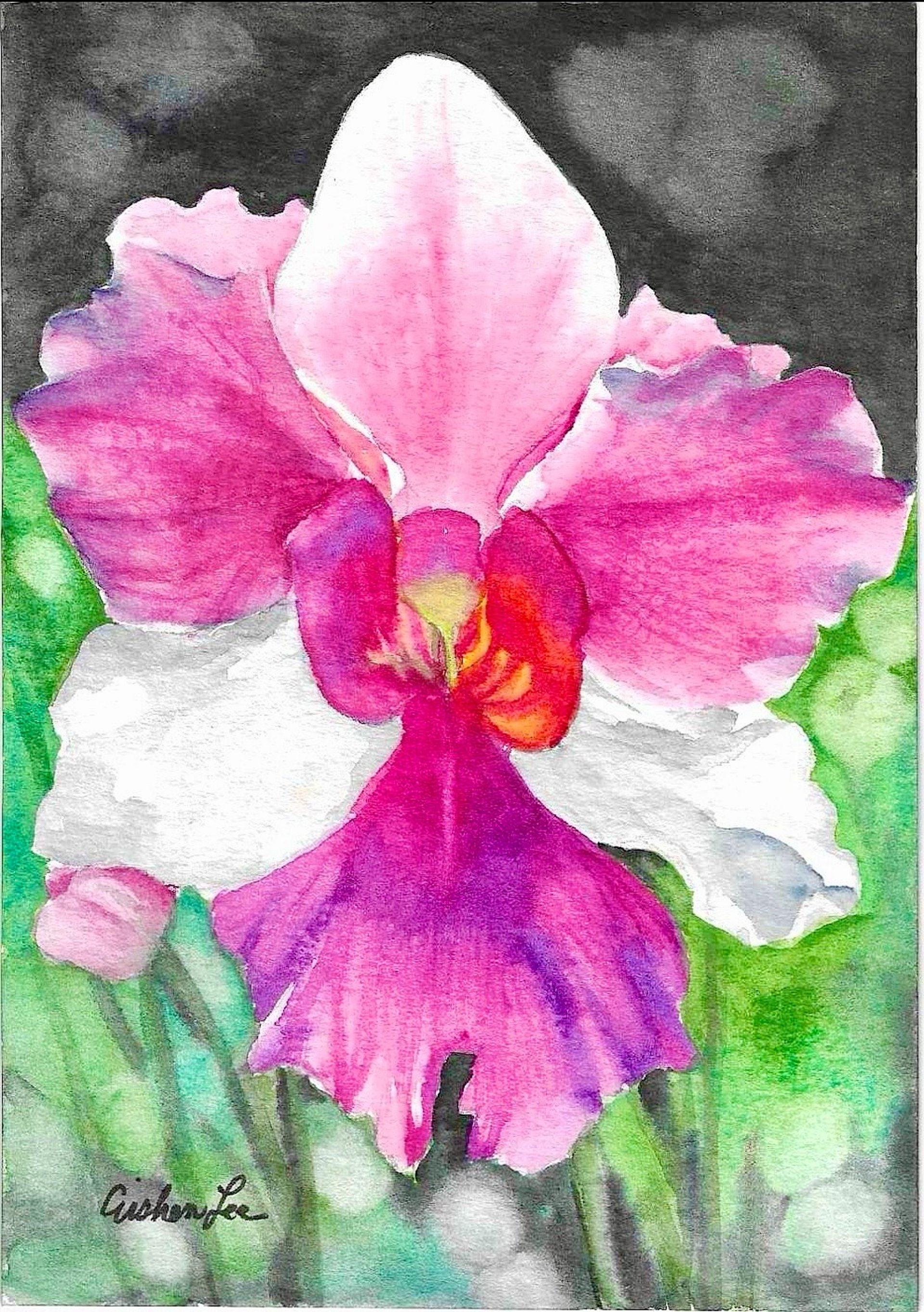 black blue and yellow textile