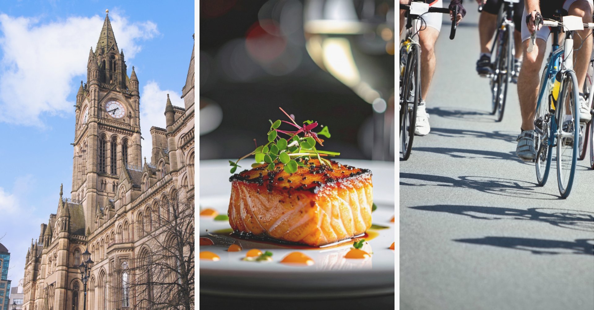 Reason Marketing Marketing Consultant Suffolk