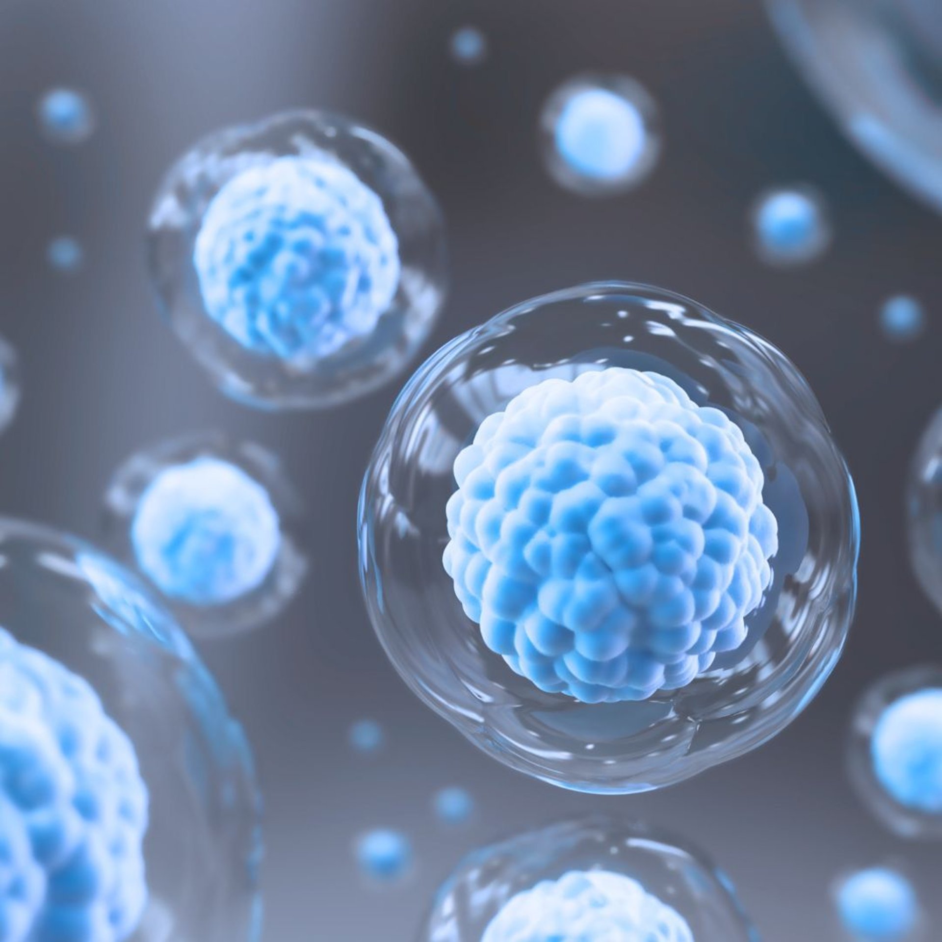 a woman getting a facial massage on her face