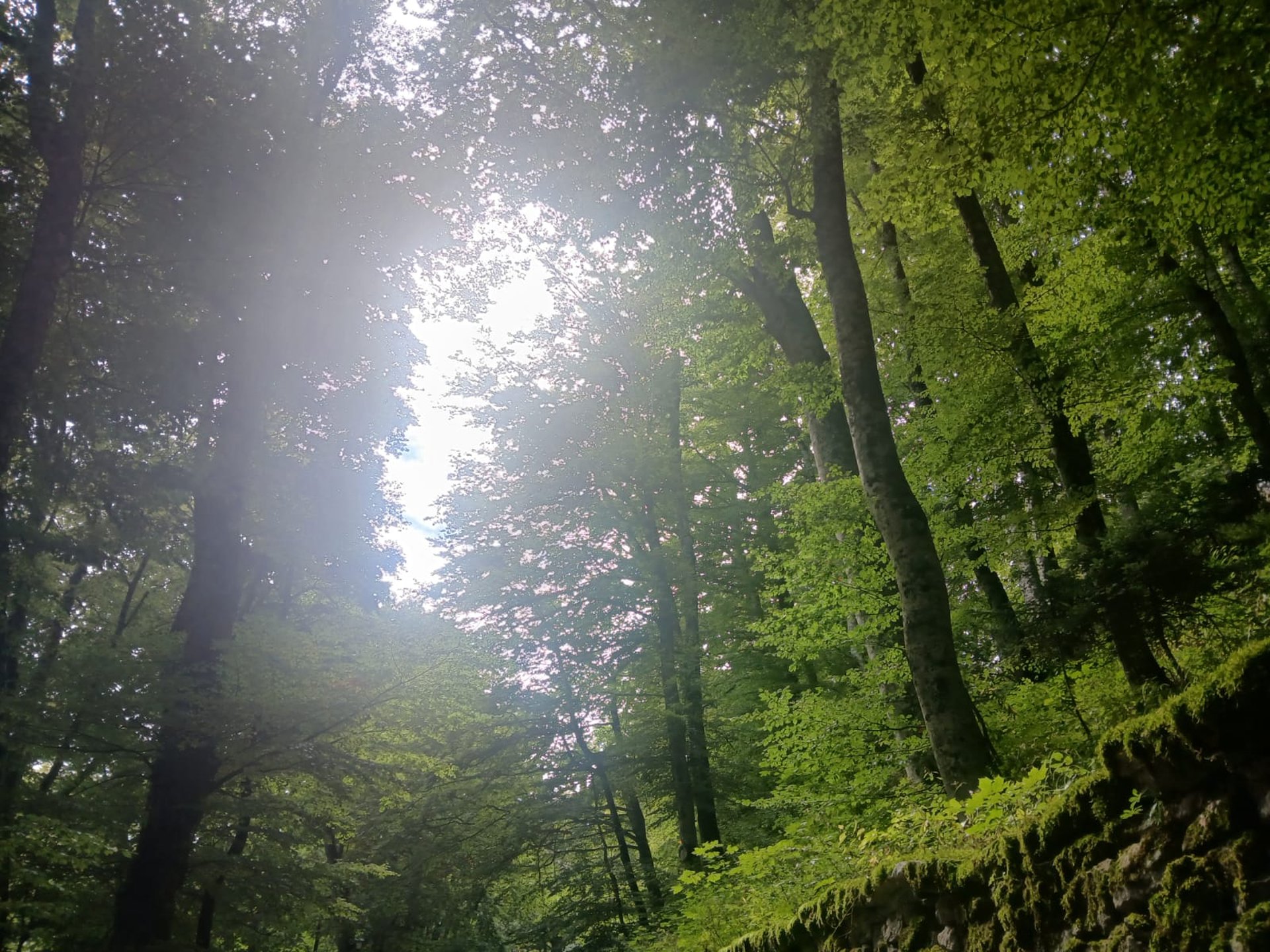 black blue and yellow textile