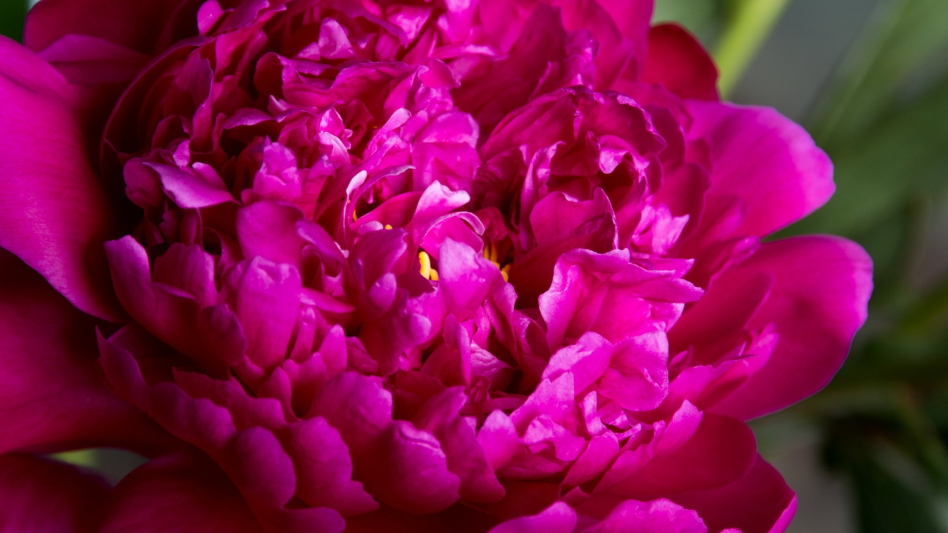an abstract photo of a curved building with a blue sky in the background