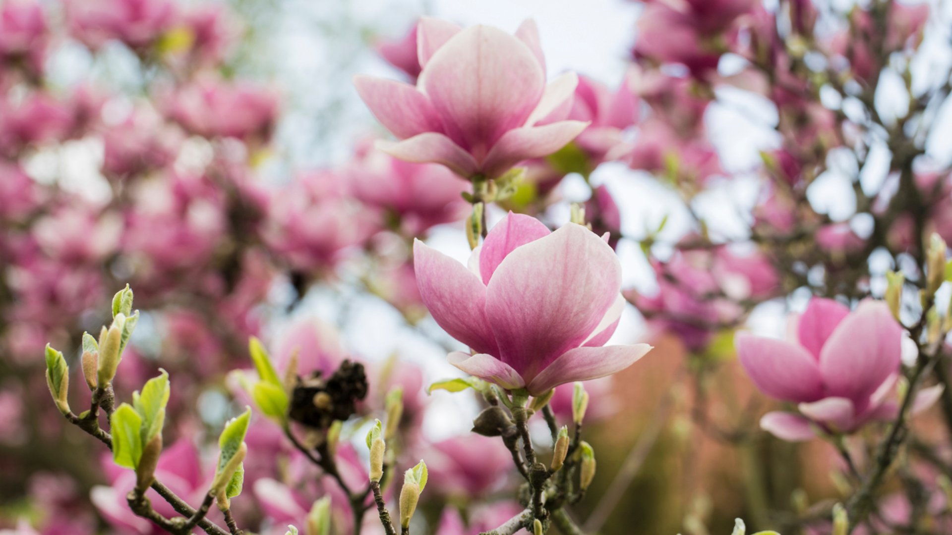 an abstract photo of a curved building with a blue sky in the background