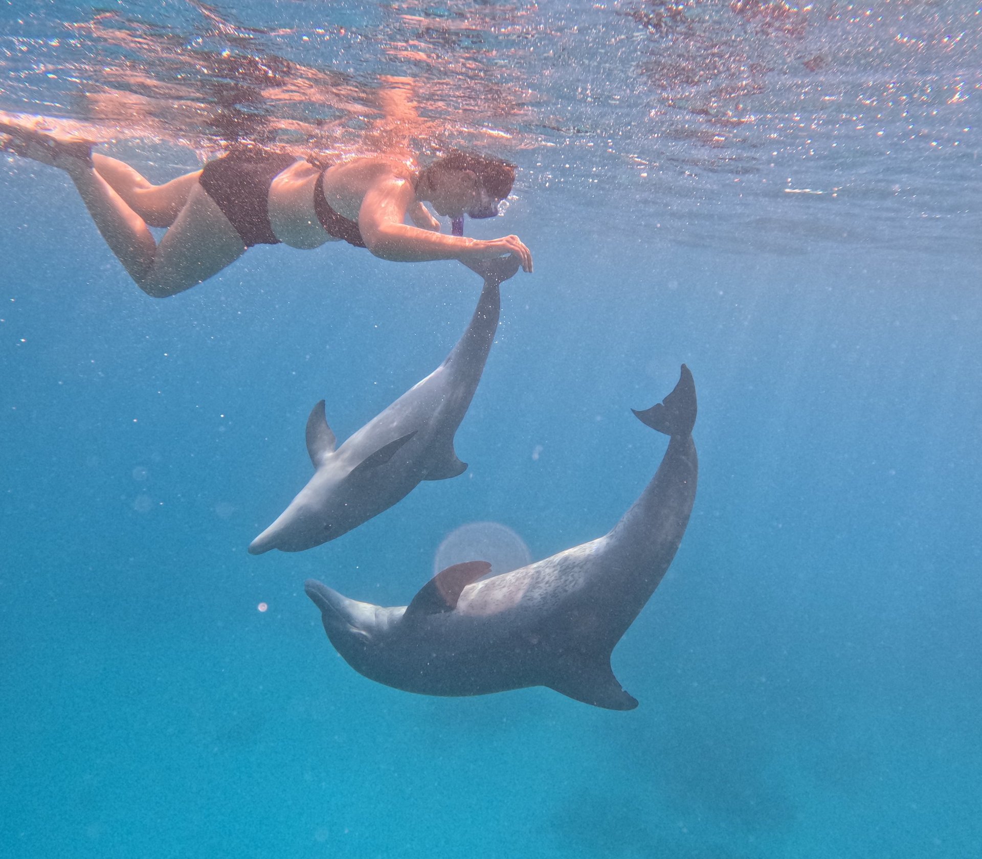 an abstract photo of a curved building with a blue sky in the background