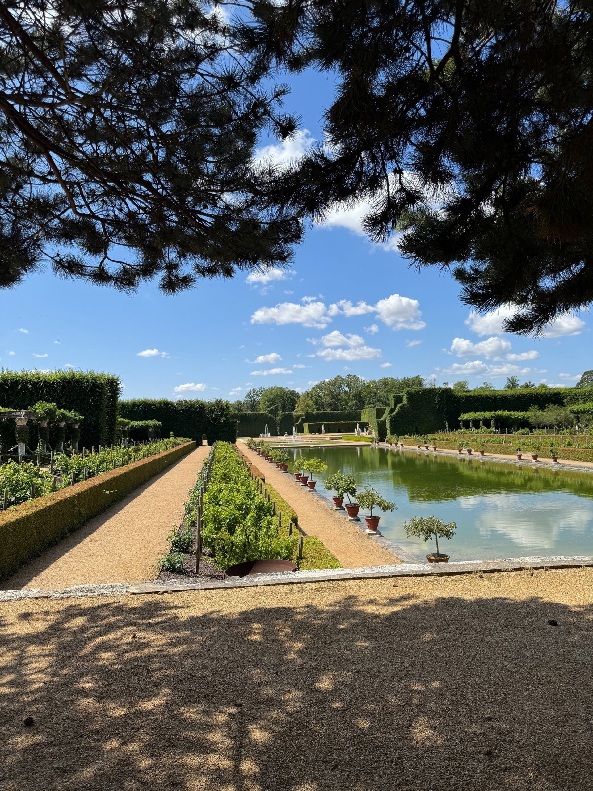 woman wearing yellow long-sleeved dress under white clouds and blue sky during daytime