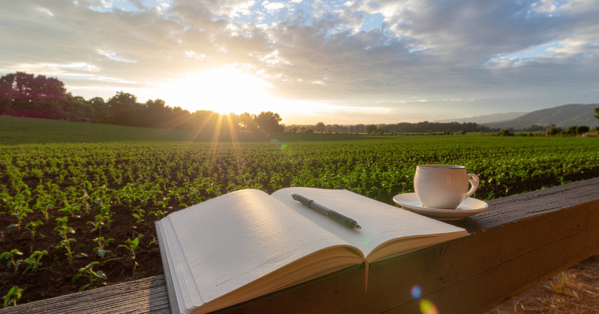 gray computer monitor