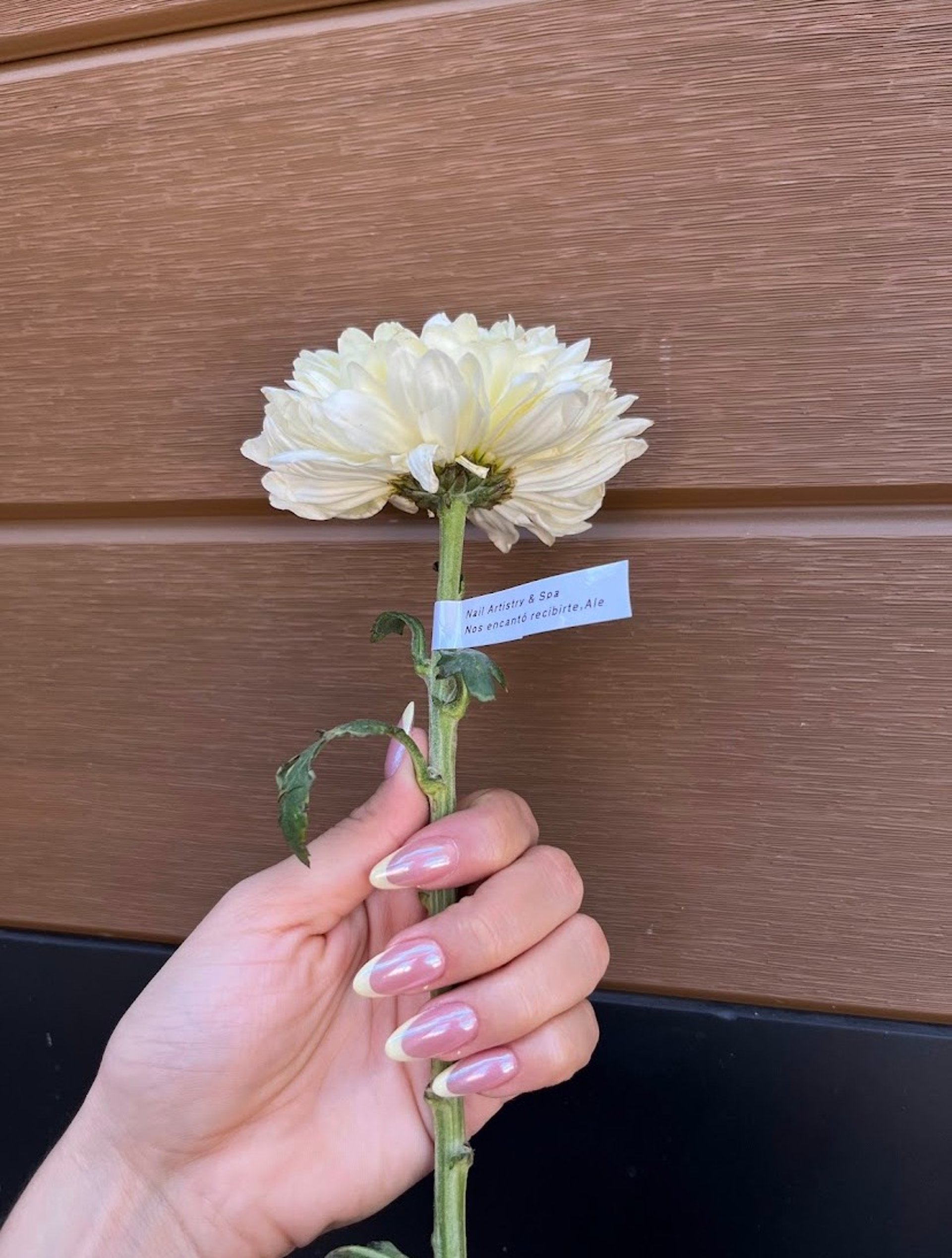 black and brown leather padded tub sofa