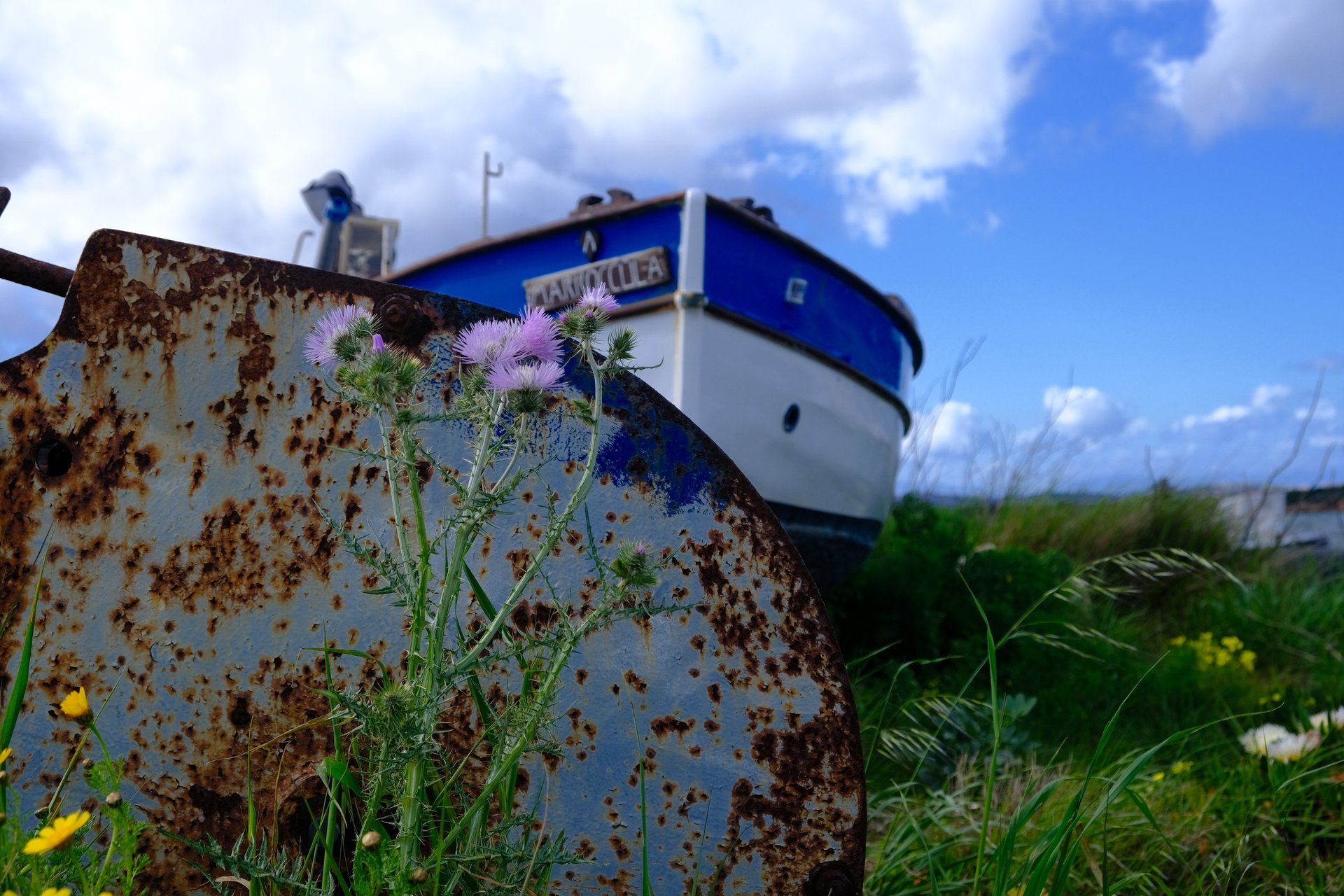 an abstract photo of a curved building with a blue sky in the background