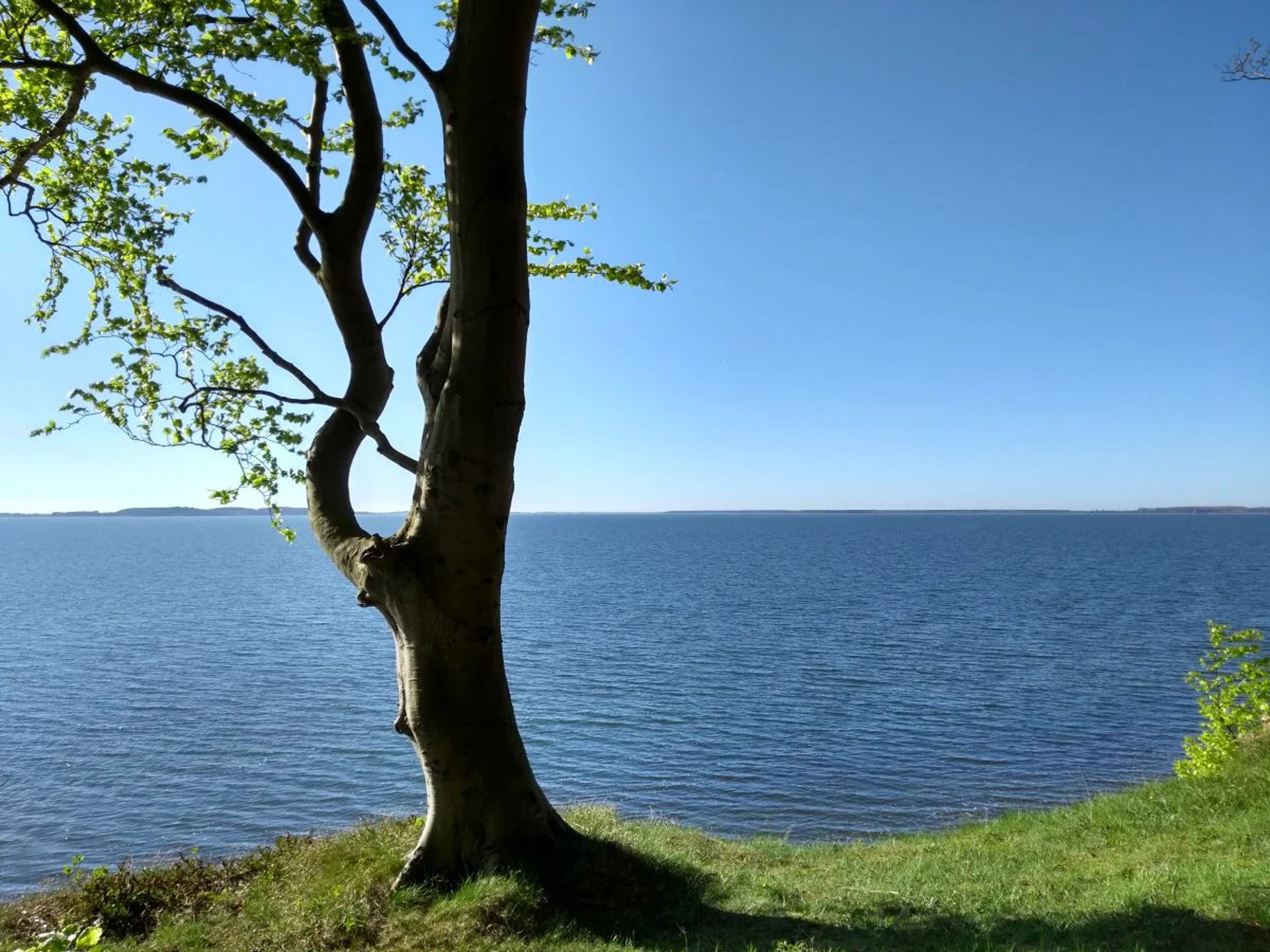mountain range under blue sky