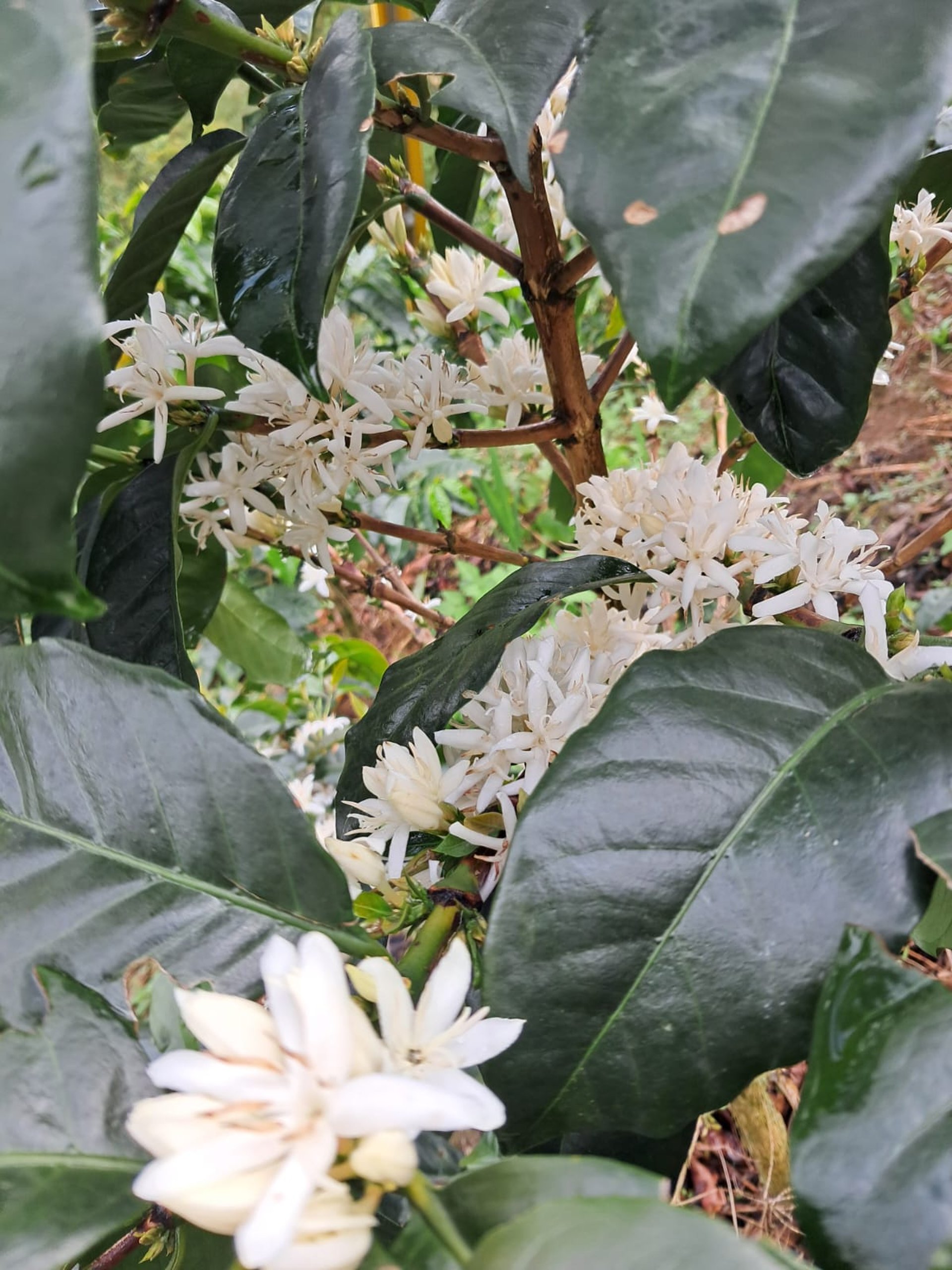 person wearing grey knit sweater