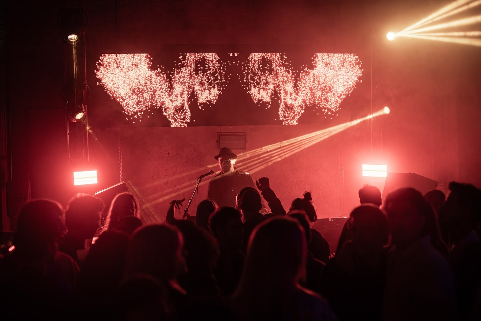 Forest during daytime