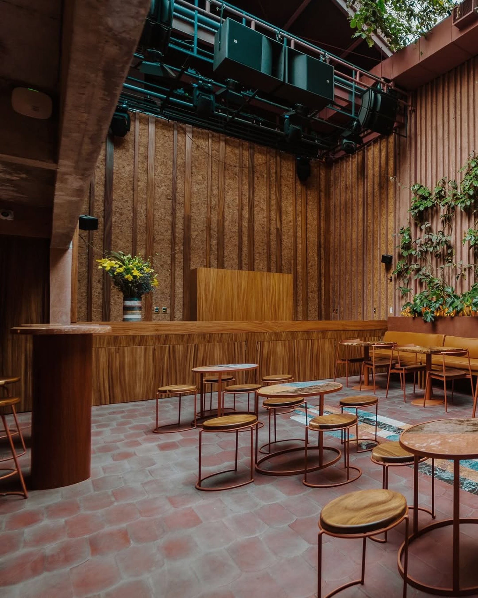 Forest during daytime