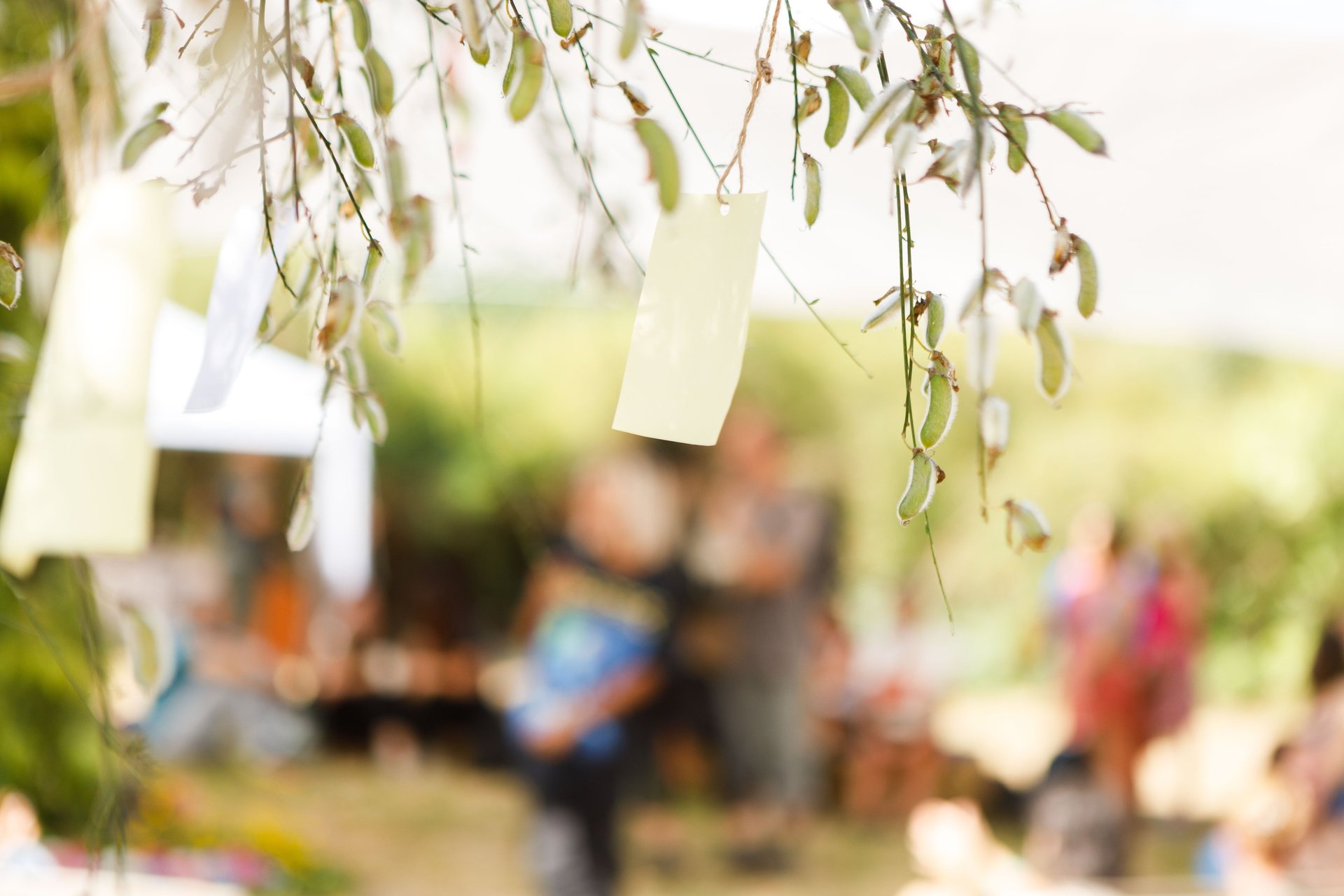 an abstract photo of a curved building with a blue sky in the background