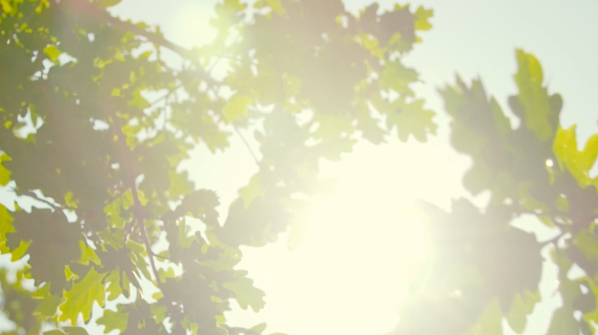 woman holding man and toddler hands during daytime