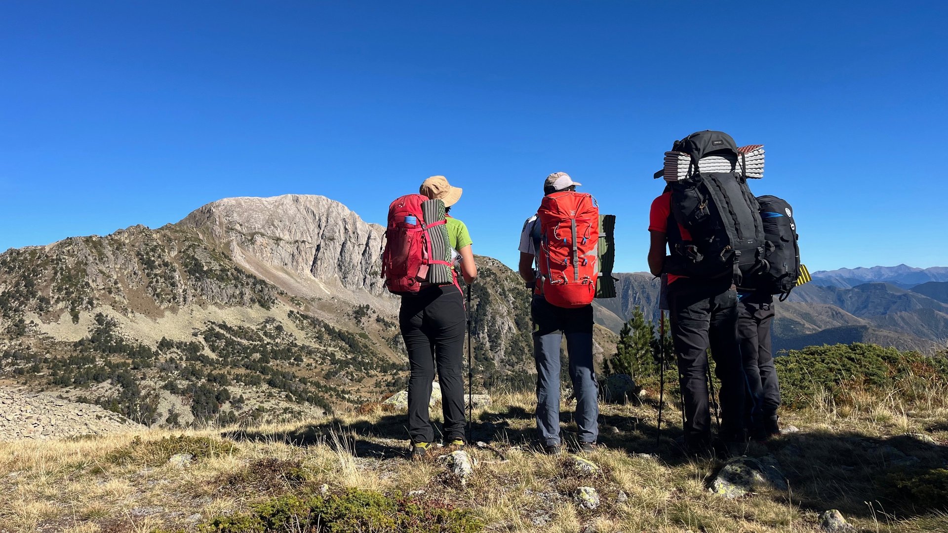 woman wearing yellow long-sleeved dress under white clouds and blue sky during daytime