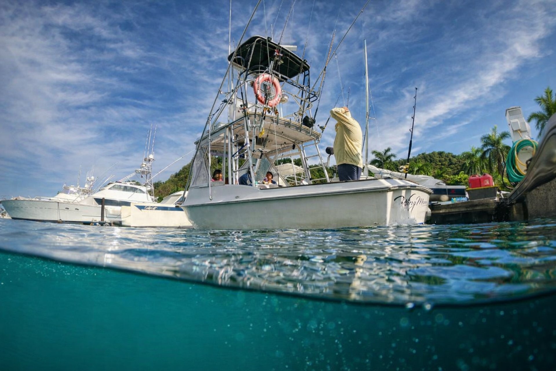 black and white bed linen